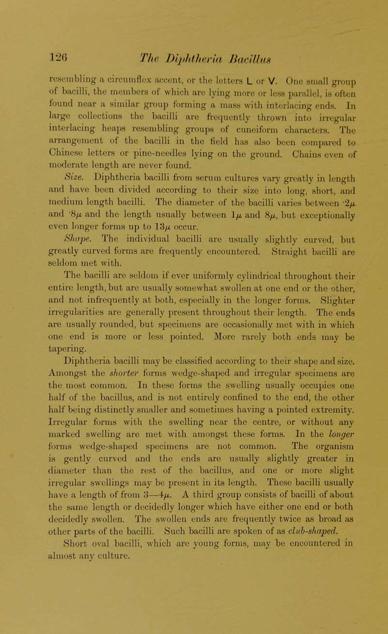 resembling a circumflex accent, or the letters L or V. One small group of bacilli, the members of which are lying more or less parallel, is often found near a similar group forming a mass with interlacing ends. In large collections the bacilli are frequently thrown into irregular interlacing heaps resembling groups of cuneiform characters. The arrangement of the bacilli in the field has also been compared to Chinese letters or pine-needles lying on the ground. Chains even of moderate length are never found. Size. Diphtheria bacilli from serum cultures vary greatly in length and have been divided according to their size into long, short, and medium length bacilli. The diameter of the bacilli varies between 2/x and '8/j, and the length usually between 1/a and 8fi, but exceptionally even longer forms up to 13/j, occur. Shape. The individual bacilli are usually slightly curved, but greatly curved forms are frequently encountered. Straight bacilli are seldom met with. The bacilli are seldom if ever uniformly cylindrical throughout their entire length, but are usually somewhat swollen at one end or the other, and not infrequently at both, especially in the longer forms. Slighter irregularities are generally present throughout their length. The ends are usually rounded, but specimens are occasionally met with in which one end is more or less pointed. More rarely both ends may be tapering. Diphtheria bacilli may be classified according to their shape and size. Amongst the shorter forms wedge-shaped and irregular specimens are the most common. In these forms the swelling usually occupies one half of the bacillus, and is not entirely confined to the end, the other half being distinctly smaller and sometimes having a pointed extremity. Irregular forms with the swelling near the centre, or without any marked swelling are met with amongst these forms. In the longer forms wedge-shaped specimens are not common. The organism is gently curved and the ends are usually slightly greater in diameter than the rest of the bacillus, and one or more slight irregular swellings may be present in its length. These bacilli usually have a length of from 3—4/a. A third group consists of bacilli of about the same length or decidedly longer which have either one end or both decidedly swollen. The swollen ends are frequently twice as broad as other parts of the bacilli. Such bacilli are spoken of as club-shaped. Short oval bacilli, which are young forms, may be encountered in almost any culture.