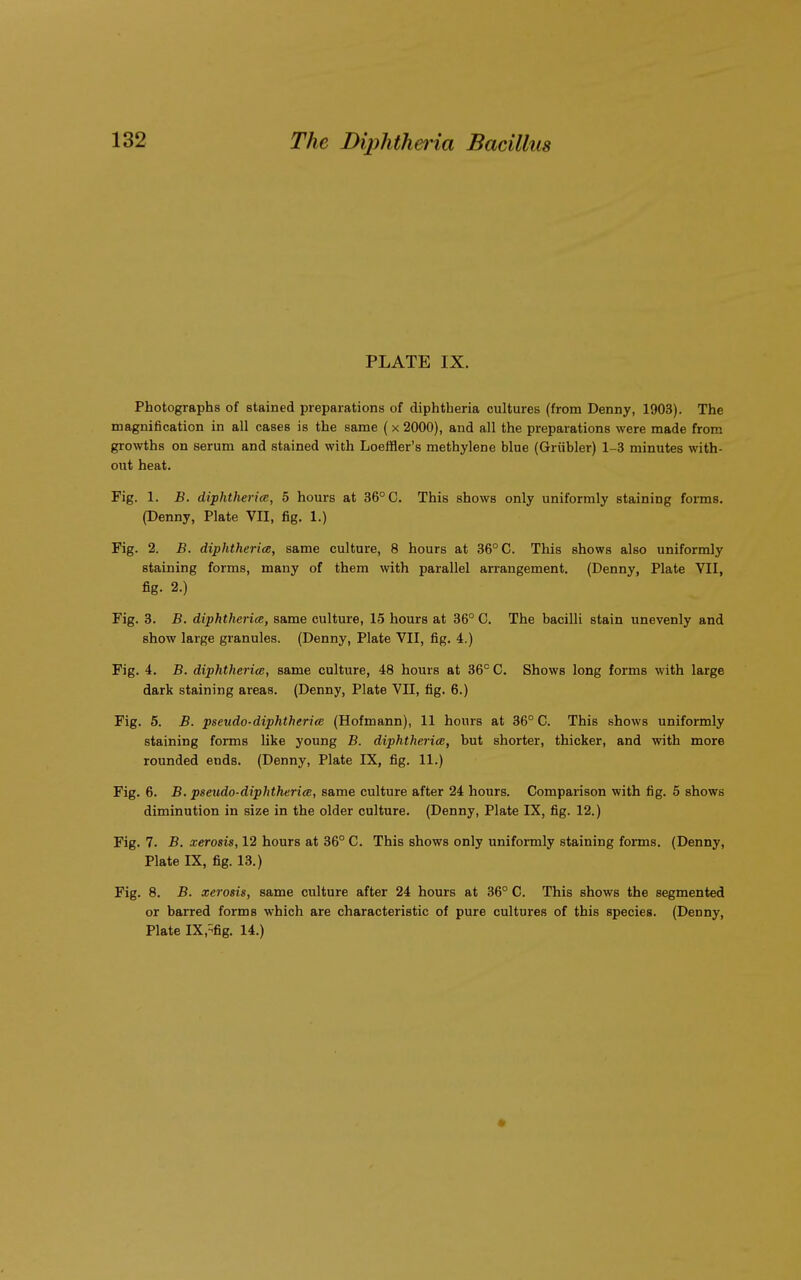 PLATE IX. Photographs of stained preparations of diphtheria cultures (from Denny, 1903). The magnification in all cases is the same (x 2000), and all the preparations were made from growths on serum and stained with Loeffler's methylene blue (Griibler) 1-3 minutes with- out heat. Fig. 1. B. diphtheria, 5 hours at 36° C. This shows only uniformly staining forms. (Denny, Plate VII, fig. 1.) Fig. 2. B. diphtheria, same culture, 8 hours at 36° C. This shows also uniformly staining forms, many of them with parallel arrangement. (Denny, Plate VII, fig. 2.) Fig. 3. B. diphtheria, same culture, 15 hours at 36° C. The bacilli stain unevenly and show large granules. (Denny, Plate VII, fig. 4.) Fig. 4. B. diphtheria, same culture, 48 hours at 36c C. Shows long forms with large dark staining areas. (Denny, Plate VII, fig. 6.) Fig. 5. B. pseudo-diphtheria (Hofmann), 11 hours at 36° C. This shows uniformly staining forms like young B. diphtheria, but shorter, thicker, and with more rounded ends. (Denny, Plate IX, fig. 11.) Fig. 6. B. pseudo-diphtheria, same culture after 24 hours. Comparison with fig. 5 shows diminution in size in the older culture. (Denny, Plate IX, fig. 12.) Fig. 7. B. xerosis, 12 hours at 36° C. This shows only uniformly staining forms. (Denny, Plate IX, fig. 13.) Fig. 8. B. xerosis, same culture after 24 hours at 36° C. This shows the segmented or barred forms which are characteristic of pure cultures of this species. (DeDny, Plate IXpfig. 14.)