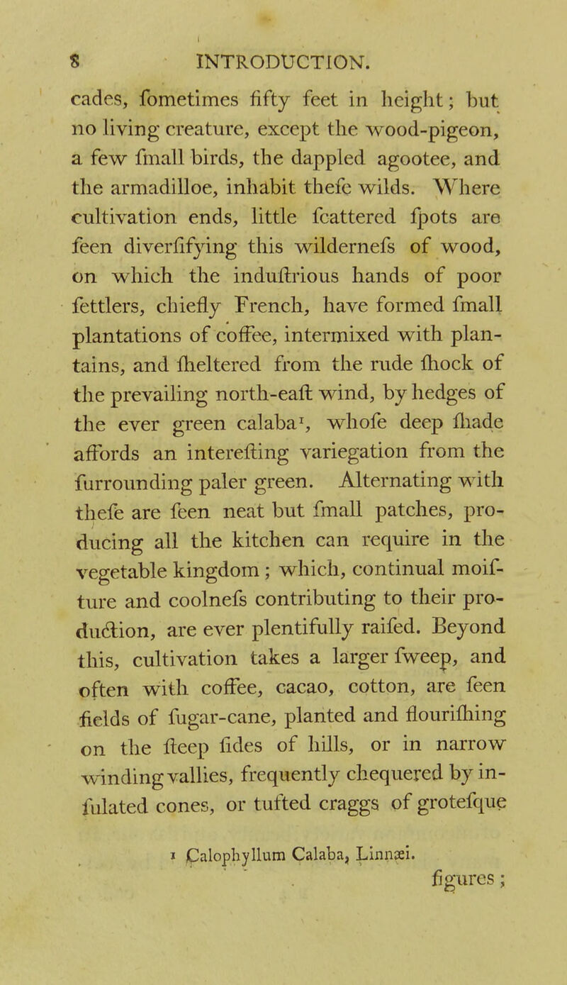 cades, fometimes fifty feet in height; hut no living creature, except the wood-pigeon, a few fmall birds, the dappled agootee, and the armadilloe, inhabit thefe wilds. Where cultivation ends, little fcattered fpots are feen diverfifying this wildernefs of wood, on which the induftrious hands of poor fettlers, chiefly French, have formed fmall plantations of coffee, intermixed with plan- tains, and fheltered from the rude fhock of the prevailing north-eaft wind, by hedges of the ever green calaba1, whofe deep made affords an interefling variegation from the furrounding paler green. Alternating with thefe are feen neat but fmall patches, pro- ducing all the kitchen can require in the vegetable kingdom; which, continual moif- ture and coolnefs contributing to their pro- duction, are ever plentifully raifed. Beyond this, cultivation takes a larger fweep, and often with coffee, cacao, cotton, are feen fields of fugar-cane, planted and nourifhing on the fleep fides of hills, or in narrow winding vallies, frequently chequered by in- flated cones, or tufted craggs of grotefque i Calophyllum Calaba, Linnsei. figures;