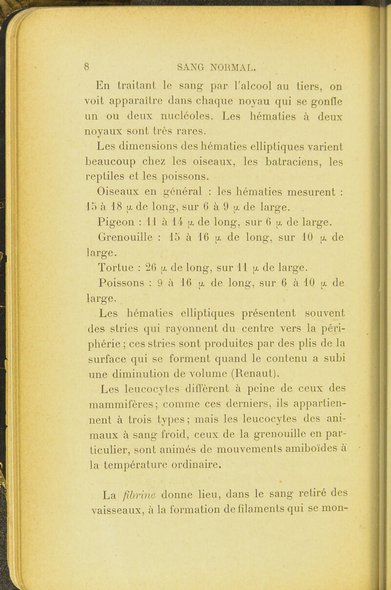 En traitant le sang par l’alcool au tiers, on voit apparaître dans chaque noyau qui se gonlle un ou deux nucléoles. Les hématies à deux noyaux sont très rares. Les dimensions des hématies elliptiques varient beaucoup chez les oiseaux, les batraciens, les reptiles et les poissons. Oiseaux en général : les hématies mesurent : 15 à 18 \j. de long, sur G à 9 a de large. Pigeon : Il à 14 g de long, sur 6 u de large. Grenouille : 15 à 16 u. de long, sur 10 a de large. Tortue : 26 u de long, sur 11 g de large. Poissons : 9 à 16 g de long, sur 6 à 10 a de large. Les hématies elliptiques présentent souvent des stries qui rayonnent du centre vers la péri¬ phérie ; ces stries sont produites par des plis de la surface qui se forment quand le contenu a subi une diminution de volume (Renaut). Les leucocytes diffèrent à peine de ceux des mammifères; comme ces derniers, ils appartien¬ nent à trois types ; mais les leucocytes des ani¬ maux à sang froid, ceux de la grenouille en par¬ ticulier, sont animés de mouvements amiboïdes à la température ordinaire. La fibrine donne lieu, dans le sang retiré des vaisseaux, à la formation de filaments qui se mon-