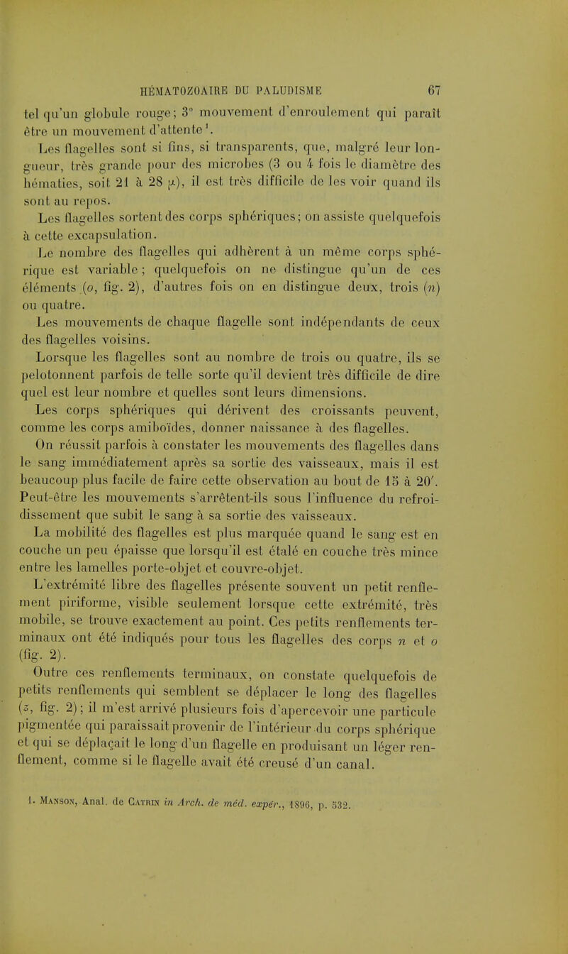 tel qu'un globule rouge; 3° mouvement d'enroulement qui paraît être un mouvement d'attente1. Les flagelles sont si fins, si transparents, que, malgré leur lon- gueur, très gi ande pour des microbes (3 ou 4 fois le diamètre des hématies, soit 21 à 28 p.), il est très difficile de les voir quand ils sent au repos. Les flagelles sortent des corps sphériques; on assiste quelquefois à cette excapsulation. Le nombre des flagelles qui adhèrent à un même corps sphé- rique est variable ; quelquefois on ne distingue qu'un de ces éléments (o, fig. 2), d'autres fois on en distingue deux, trois (n) ou quatre. Les mouvements de chaque flagelle sont indépendants de ceux des flagelles voisins. Lorsque les flagelles sont au nombre de trois ou quatre, ils se pelotonnent parfois de telle sorte qu'il devient très difficile de dire quel est leur nombre et quelles sont leurs dimensions. Les corps sphériques qui dérivent des croissants peuvent, comme les corps amiboïdes, donner naissance à des flagelles. On réussit parfois à constater les mouvements des flagelles dans le sang immédiatement après sa sortie des vaisseaux, mais il est beaucoup plus facile de faire cette observation au bout de 15 à 20'. Peut-être les mouvements s'arrêtent-ils sous l'influence du refroi- dissement que subit le sang à sa sortie des vaisseaux. La mobilité des flagelles est plus marquée quand le sang est en couche un peu épaisse que lorsqu'il est étalé en couche très mince entre les lamelles porte-objet et couvre-objet. L'extrémité libre des flagelles présente souvent un petit renfle- ment piriforme, visible seulement lorsque cette extrémité, très mobile, se trouve exactement au point. Ces petits renflements ter- minaux ont été indiqués pour tous les flagelles des corps n et o (fig- 2). Outre ces renflements terminaux, on constate quelquefois de petits renflements qui semblent se déplacer le long des flagelles (z, fig. 2) ; il m'est arrivé plusieurs fois d'apercevoir une particule pigmentée qui paraissait provenir de l'intérieur du corps sphérique et qui se déplaçait le long d'un flagelle en produisant un léger ren- flement, comme si le flagelle avait été creusé d'un canal. 1. Mansox, Anal, de C.vmm in Arch. de méd. expér., 1896, p. 532.