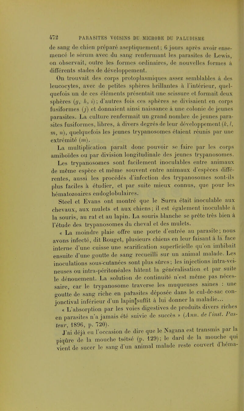 de sang de chien préparé aseptiquement ; G jours après avoir ense- mencé le sérum avec du sang- renfermant les parasites de Lewis, on observait, outre les formes ordinaires, de nouvelles formes à différents stades de développement. On trouvait des corps protoplasmiques assez semblables à des leucocytes, avec de petites sphères brillantes à l'intérieur, quel- quefois un de ces éléments présentait une scissure el formait deux sphères (//, h, i); d'autres fois ces sphères se divisaient en corps fusiformes (j) et donnaient ainsi naissance à mie colonie de; jeunes parasites. La culture renfermait un grand nombre de jeunes para- sites fusiformes, libres, à divers degrés de leur développement (k, l, m, ri), quelquefois les jeunes trypanosomes étaient réunis par une extrémité (m). La multiplication paraît donc pouvoir se taire par les corps amiboïdes ou par division longitudinale des jeunes trypanosomes. Les trypanosomes sont facilement inoculables entre animaux de même espèce et même souvent entre animaux d'espèces diffé- rentes, aussi les procédés d'infection des trypanosomes sont-ils plus faciles à étudier, et par suite mieux connus, que pour les hématozoaires endoglobulaires. Steel et Evans ont montré que le Surra était inoculable aux chevaux, aux mulets et aux chiens ; il est également inoculable à la souris, au rat et au lapin. La souris blanche se prête très bien à l'étude des trypanosomes du cheval et des mulets. « La moindre plaie offre une porte d'entrée au parasite; nous avons infecté, dit Rouget, plusieurs chiens en leur faisant à la face interne d'une cuisse une scarification superficielle qu'on imbibait ensuite d'une goutte de sang recueilli sur un animal malade. Les inoculations sous-cutanées sont plus sûres ; les injections infra-vei- neuses ou intra-péritonéales hâtent la généralisation et par suite le dénouement. La solution de continuité n'est même pas néces- saire, car le trypanosome traverse les muqueuses saines : une goutte de sang riche en parasites déposée dans le cul-de-sac con- jonctival inférieur d'un lapinf suffit à lui donner la maladie... « L'absorption par les voies digestives de produits divers riches en parasites n'a jamais été suivie de succès » (Ann. de Viral. Pas- teur, 1896, p. 720). J'ai déjà eu l'occasion de dire que le Nagana est transmis par la piqûre de la mouche tsétsé (p. 129); le dard de la mouche qui vient de sucer le sang d'un animal malade reste couvert d'héma-