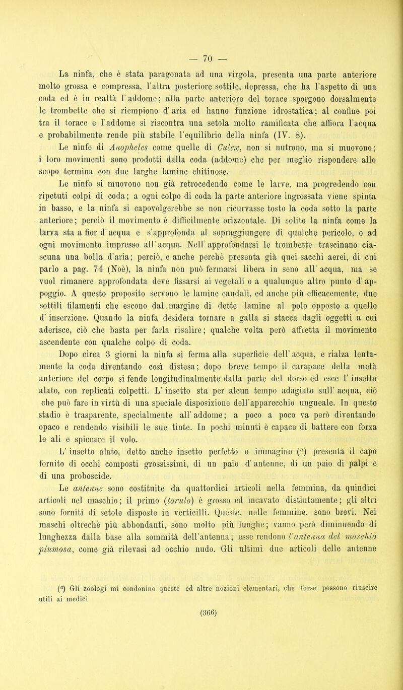 — 70 — La ninfa, che è stata paragonata ad una virgola, presenta una parte anteriore molto grossa e compressa, l'altra posteriore sottile, depressa, che ha l'aspetto di una coda ed è in realtà l'addome; alla parte anteriore del torace sporgono dorsalmente le trombette che si riempiono d'aria ed hanno funzione idrostatica; al confine poi tra il torace e l'addome si riscontra una setola molto ramificata che affiora l'acqua e probabilmente rende più stabile l'equilibrio della ninfa (IV. 8). Le ninfe di Anopheles come quelle di Calex, non si nutrono, ma si muovono; i loro movimenti sono prodotti dalla coda (addome) che per meglio rispondere allo scopo termina con due larghe lamine chitinose. Le ninfe si muovono non già retrocedendo come le larve, ma progredendo con ripetuti colpi di coda ; a ogni colpo di coda la parte anteriore ingrossata viene spinta in basso, e la ninfa si capovolgerebbe se non ricurvasse tosto la coda sotto la parte anteriore ; perciò il movimento è diffìcilmente orizzontale. Di solito la ninfa come la larva sta a fior d'acqua e s'approfonda al sopraggiungere di qualche pericolo, o ad ogni movimento impresso all' acqua. Neil' approfondarsi le trombette trascinano cia- scuna una bolla d'aria; perciò, e anche perchè presenta già quei sacchi aerei, di cui parlo a pag. 74 (Noè), la ninfa non può fermarsi libera in seno all' acqua, ma se vuol rimanere approfondata deve fissarsi ai vegetali o a qualunque altro punto d' ap- poggio. A questo proposito servono le lamine caudali, ed anche piìi efficacemente, due sottili filamenti che escono dal.margine di dette lamine al polo opposto a quello d'inserzione. Quando la ninfa desidera tornare a galla si stacca dagli oggetti a cui aderisce, ciò che basta per farla risalire; qualche volta però affretta il movimento ascendente con qualche colpo di coda. Dopo circa 3 giorni la ninfa si ferma alla superficie dell' acqua, e rialza lenta- mente la coda diventando così distesa; dopo breve tempo il carapace della metà anteriore del corpo si fende longitudinalmente dalla parte del dorso ed esce l'insetto alato, con replicati colpetti. L'insetto sta per alcun tempo adagiato sull' acqua, ciò che può fare in virtù di una speciale disposizione dell'apparecchio ungueale. In questo stadio è trasparente, specialmente all'addome; a poco a poco va però diventando opaco e rendendo visibili le sue tinte. In pochi minuti è capace di battere con forza le ali e spiccare il volo. L'insetto alato, detto anche insetto perfetto o immagine () presenta il capo fornito di occhi composti grossissimi, di un paio d' antenne, di un paio di palpi e di una proboscide. Le antenne sono costituite da quattordici articoli nella femmina, da quindici articoli nel maschio; il primo {tornio) è grosso ed incavato distintamente; gli altri soQo forniti di setole disposte ia verticilli. Queste, nelle femmine, sono brevi. Nei maschi oltreché più abbondanti, sono molto più lunghe; vanno però diminuendo di lunghezza dalla base alla sommità dell'antenna; q^^q XQVidiOno l'antenna del maschio piumosa, come già rilevasi ad occhio nudo. Gli ultimi due articoli delle antenne C) Gli zoologi mi condonino queste ed altre nozioni elementari, che forse possono riuscire utili ai medici