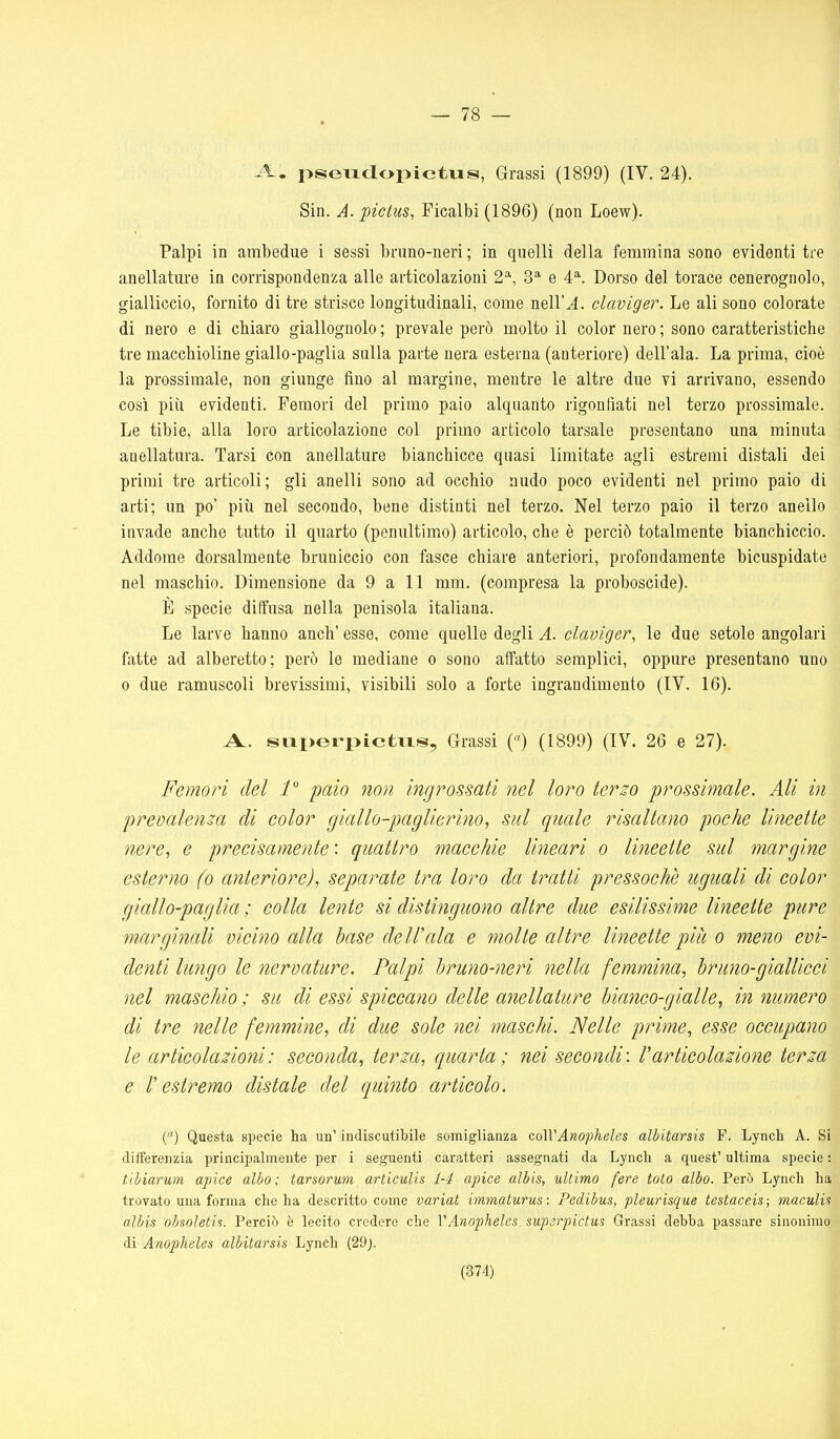 — 78 — ^-1. psendopictus, Grassi (1899) (IV. 24). Sin. A. picius, Ficalbi (1896) (non Loew). Palpi in ambedue i sessi bruno-neri ; in quelli della femmina sono evidenti tre anellature in corrispondenza alle articolazioni 2^, 3*^ e 4*. Dorso del torace cenerognolo, gialliccio, fornito di tre strisce longitudinali, come nell'^. claviger. Le ali sono colorate di nero e di chiaro giallognolo ; prevale però molto il color nero ; sono caratteristiche tre macchioline giallo-paglia sulla parte nera esterna (anteriore) dell'ala. La prima, cioè la prossimale, non giunge fino al margine, mentre le altre due vi arrivano, essendo così più evidenti. Femori del primo paio alquanto rigonfiati nel terzo prossimale. Le tibie, alla loro articolazione col primo articolo tarsale presentano una minuta auellatura. Tarsi con anellature bianchicce quasi limitate agli estremi distali dei primi tre articoli; gli anelli sono ad occhio nudo poco evidenti nel primo paio di arti; un po' più nel secondo, bene distinti nel terzo. Nel terzo paio il terzo anello invade anche tutto il quarto (penultimo) articolo, che è perciò totalmente bianchiccio. Addome dorsalmente bruniccio con fasce chiare anteriori, profondamente bicuspidate nel maschio. Dimensione da 9 a 11 mm. (compresa la proboscide). È specie diffusa nella penisola italiana. Le larve hanno anch' esse, come quelle degli A. claviger, le due setole angolari fatte ad alberetto; però le mediane o sono affatto semplici, oppure presentano uno 0 due ramuscoli brevissimi, visibili solo a forte ingrandimento (IV. 16). A. stiperpictixs. Grassi () (1899) (IV. 26 e 27). Femori del 1 paio non ingrossati nel loro terzo prossimale. Ali in prevalenza di color giallo-paglierino, sul quale risaltano poehe lineette nere, e precisamente : quattro macchie lineari o lineette sul margine esterno (o anteriore), separate tra loro da tratti pressoché uguali di color giallo-paglia ; colla lente si distinguono altre due esilissime lineette pure marginali vicino alla base dell'ala e molte altre lineette pili o meno evi- denti lungo le nervature. Palpi bruno-neri nella femmina, bruno-giallicci nel maschio ; su di essi spiccano delle anellature bianco-gialle, in numero di tre nelle femmine, di due sole nei maschi. Nelle prime, esse occupano le articolazioni: seconda, terza, quarta ; nei secondi: rarticolazione terza e restremo distale del quinto articolo. () Questa specie ha un' indiscutibile somiglianza coWAnopheles albitarsis F. Lynch A. Si diiferenzia principalmente per i seguenti caratteri assegnati da Lynch a quest'ultima specie: t.ihiarum apice albo; tarsorum articulis 1-4 apice albis, ultimo fere loto albo. Però Lynch ha trovato una forma che ha descritto come variai immaturus: Pedibus, pleurisque testaceis; maculi^ albis obsoletis. Perciò è lecito credere che VAnopheles supsrpictm Grassi debba passare sinonimo di Anopheles albitarsis Lynch (29^.