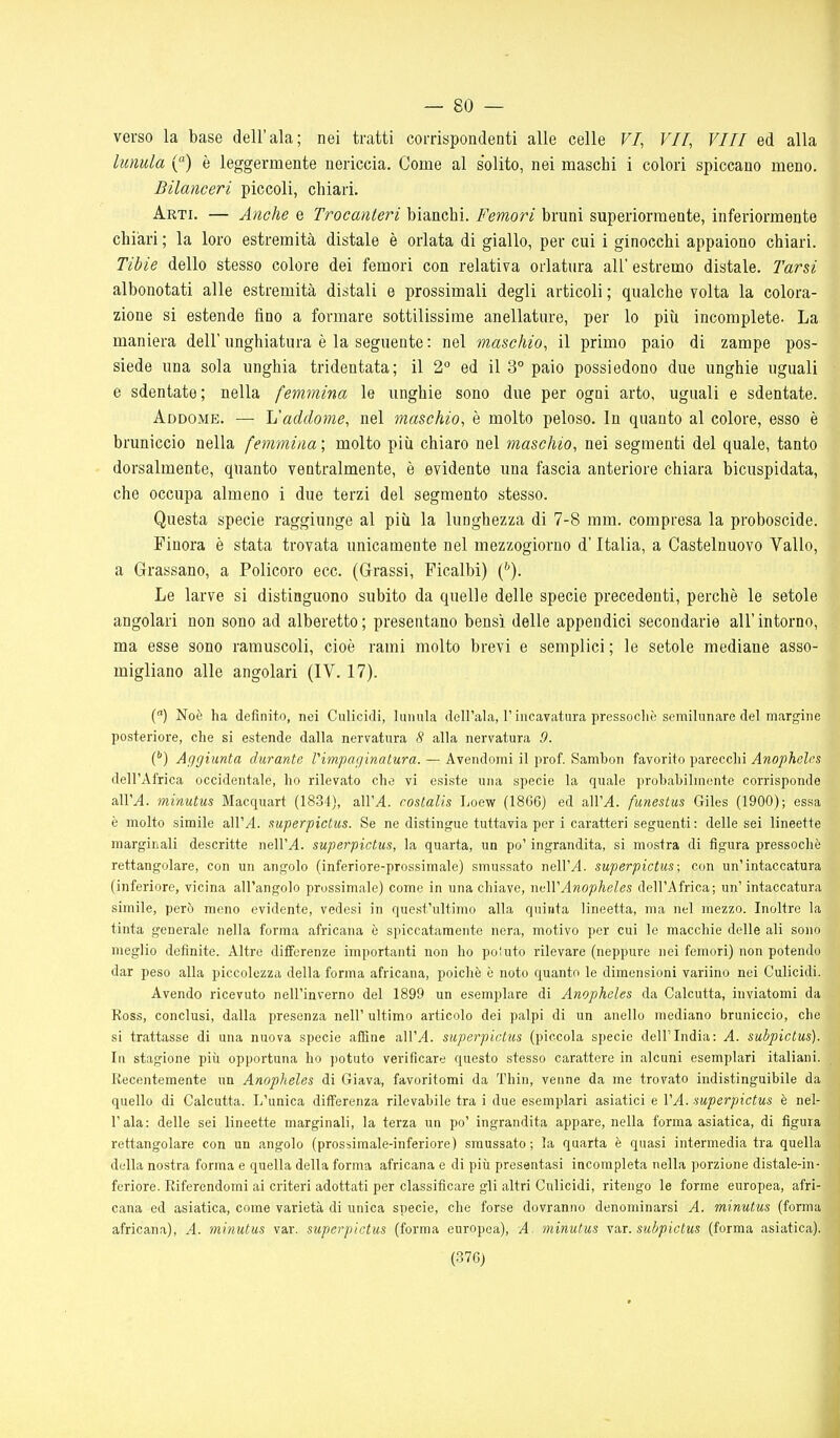 verso la base dell'ala; nei tratti corrispondenti alle celle VI, VII, Vili ed alla lunula {) è leggermente nericcia. Come al solito, nei maschi i colori spiccano meno. Bilanceri piccoli, chiari. Arti. — Anche e Trocanteri bianchi. Femori bruni superiormente, inferiormente chiari ; la loro estremità distale è orlata di giallo, per cui i ginocchi appaiono chiari. Tibie dello stesso colore dei femori con relativa orlatura all' estremo distale. Tarsi albonotati alle estremità distali e prossimali degli articoli ; qualche volta la colora- zione si estende fino a formare sottilissime anellature, per lo più incomplete. La maniera dell' unghiatura è la seguente : nel maschio, il primo paio di zampe pos- siede una sola unghia tridentata; il 2° ed il 3° paio possiedono due unghie uguali e sdentate; nella femmina le unghie sono due per ogni arto, uguali e sdentate. Addome. — L'addome, nel maschio, è molto peloso. In quanto al colore, esso è bruniccio nella femmina ; molto più chiaro nel maschio, nei segmenti del quale, tanto dorsalmente, quanto ventralmente, è evidente una fascia anteriore chiara bicuspidata, che occupa almeno i due terzi del segmento stesso. Questa specie raggiunge al più la lunghezza di 7-8 mm. compresa la proboscide. Finora è stata trovata unicamente nel mezzogiorno d'Italia, a Castelnuovo Vallo, a Grassano, a Policoro ecc. (Grassi, Ficalbi) (^). Le larve si distinguono subito da quelle delle specie precedenti, perchè le setole angolari non sono ad alberetto; presentano bensì delle appendici secondarie all'intorno, ma esse sono ramuscoli, cioè rami molto brevi e semplici ; le setole mediane asso- migliano alle angolari (IV. 17). () Noè ha definito, nei Culicidi, lunula dell'ala, T incavatura pressocliè semilunare del margine posteriore, che si estende dalla nervatura 8 alla nervatura 9. {^) Aggiunta durante rimpaginatura. — Avendomi il prof. Sambon favorito parecchi Anophelcs dell'Africa occidentale, ho rilevato che vi esiste una specie la quale probabilmente corrisponde àWA. minutus Macquart (1834), all'^. costalis Loew (18G6) ed a\VA. funestus Giles (1900); essa è molto simile all'^. xuperpictus. Se ne distingue tuttavia per i caratteri seguenti : delle sei lineette marginali descritte nell'^. superpictus, la quarta, un po' ingrandita, si mostra di figura pressoché rettangolare, con un angolo (inferiore-prossimale) smussato nell'yl. superpictus; con un'intaccatura (inferiore, vicina all'angolo prossimale) come in una chiave, nuWAnopheles dell'Africa; un' intaccatura simile, però meno evidente, vedesi in quest'ultimo alla quinta lineetta, ma nel mezzo. Inoltre la tinta generale nella forma africana è spiccatamente nera, motivo per cui le macchie delle ali sono meglio definite. Altre differenze importanti non ho poiuto rilevare (neppure nei femori) non potendo dar peso alla piccolezza della forma africana, poiché é noto quanto le dimensioni variino nei Culicidi. Avendo ricevuto nell'inverno del 1899 un esemplare di Anopheles da Calcutta, inviatomi da Ross, conclusi, dalla presenza nell' ultimo articolo dei palpi di un anello mediano bruniccio, che si trattasse di una nuova specie affine all'/I. superpictus (piccola specie dell'India: A. subpictus). In stagione più opportuna ho jiotuto verificare questo stesso carattere in alcuni esemplari italiani. Recentemente un Anopheles di Giava, favoritomi da Thin, venne da me trovato indistinguibile da quello di Calcutta. L'unica diff'erenza rilevabile tra i due esemplari asiatici e 1'^. superpictus è nel- l'ala: delle sei lineette marginali, la terza un po' ingrandita appare, nella forma asiatica, di figura rettangolare con un angolo (prossimale-inferiore) smussato; la quarta é quasi intermedia tra quella della nostra forma e quella della forma africana e di più presentasi incompleta nella porzione distale-in- feriore. Riferendomi ai criteri adottati per classificare gli altri Culicidi, ritengo le forme europea, afri- cana ed asiatica, come varietà di unica specie, che forse dovranno denominarsi A. minutus (forma africana), A. minutus var. superpictus (forma europea), A minutus var. subpictus (forma asiatica). (376) I