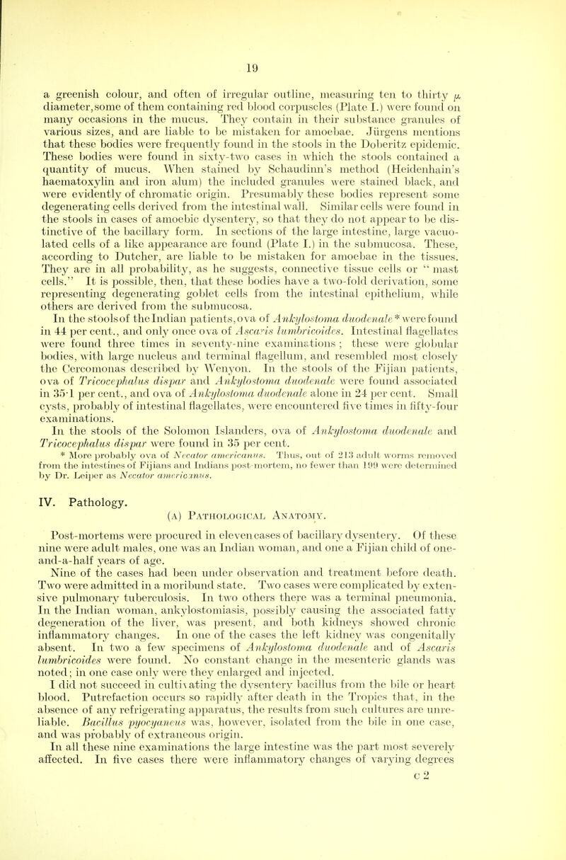 19 a greenish colour, and often of irregular outline, measuring ten to thirty ^ diameter,some of them containing red blood corpuscles (Plate I.) were found on many occasions in the mucus. They contain in their substance granules of various sizes, and are liable to be mistaken for amoebae. Jurgens mentions that these bodies were frequently found in the stools in the Doberitz epidemic. These bodies were found in sixty-two cases in which the stools contained a quantity of mucus. When stained by Schaudinn's method (Heidenhain's haematoxylin and iron alum) the included granules were stained black, and were evidently of chromatic origin. Presumably these bodies represent some degenerating cells derived from the intestinal wall. Similar cells were found in the stools in cases of amoebic dysentery, so that they do not appear to be dis- tinctive of the bacillary form. In sections of the large intestine, large vacuo- lated cells of a like appearance are found (Plate I.) in the submucosa. These, according to Dutcher, are liable to be mistaken for amoebae in the tissues. They are in all probability, as he suggests, connective tissue cells or  mast cells. It is possible, then, that these bodies have a two-fold derivation, some representing degenerating goblet cells from the intestinal epithelium, while others are derived from the submucosa. In the stoolsof the Indian patients, ova of Ankylostoma duodenale * were found in 44 per cent., and only once ova of Ascaris lumbricoides. Intestinal flagellates were found three times in seventy-nine examinations ; these were globular bodies, with large nucleus and terminal flagellum, and resembled most closely the Cercomonas described by Wenyon. In the stools of the Fijian patients, ova of Tricocephalus dispar and Ankylostoma duodenale were found associated in 35T per cent., and ova of Ankylostoma duodenale alone in 24 per cent. Small cysts, probably of intestinal flagellates, were encountered five times in fifty-four examinations. In the stools of the Solomon Islanders, ova of Ankylostoma duodenale and Tricocephalus dispar were found in 35 per cent. * More probably ova of Necator americanus. Thus, out of 213 adult worms removed from the intestines of Fijians and Indians post-mortem, no fewer than 199 were determined by Dr. Leiper as Necator americanus. IV. Pathology. (a) Pathological Anatomy. Post-mortems were procured in eleven cases of bacillary dysentery. Of these nine were adult males, one was an Indian woman, and one a Fijian child of one- and-a-half years of age. Nine of the cases had been under observation and treatment before death. Two were admitted in a moribund state. Two cases were complicated by exten- sive pulmonary tuberculosis. In two others there was a terminal pneumonia. In the Indian woman, ankylostomiasis, possibly causing the associated fatty degeneration of the liver, was present, and both kidneys showed chronic inflammatory changes. In one of the cases the left kidney was congenitally absent. In two a few specimens of Ankylostoma duodenale and of Ascaris lumbricoides were found. No constant change in the mesenteric glands was noted; in one case only were they enlarged and injected. I did not succeed in cultivating the dysentery bacillus from the bile or heart blood. Putrefaction occurs so rapidly after death in the Tropics that, in the absence of any refrigerating apparatus, the results from such cultures are unre- liable. Bacillus pyocyaneus was, however, isolated from the bile in one case, and was probably of extraneous origin. In all these nine examinations the large intestine was the part most severely affected. In five cases there were inflammatory changes of varying degrees c2