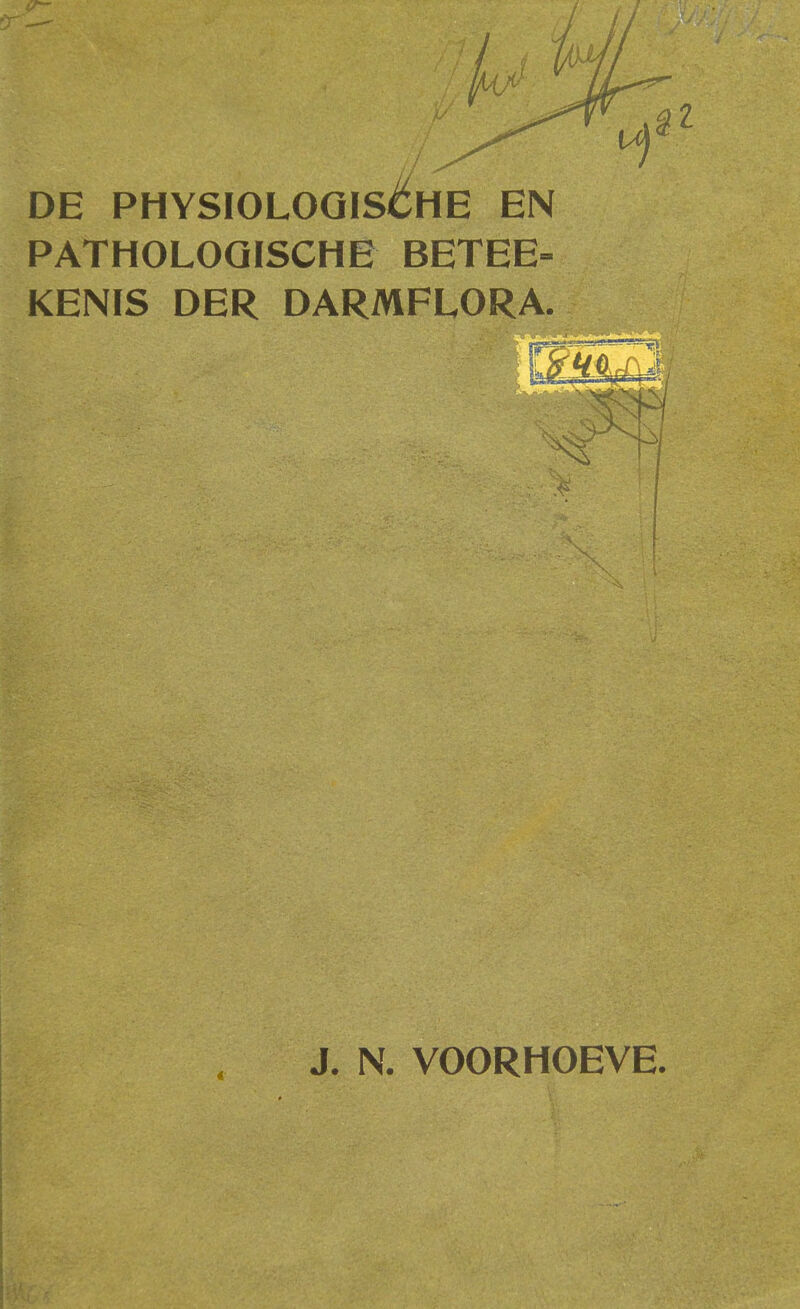 DE PHYSIOLOGISCHE EN PATHOLOGISCHE BETEE- KENIS DER DARMFLORA. J. N. VOORHOEVE.