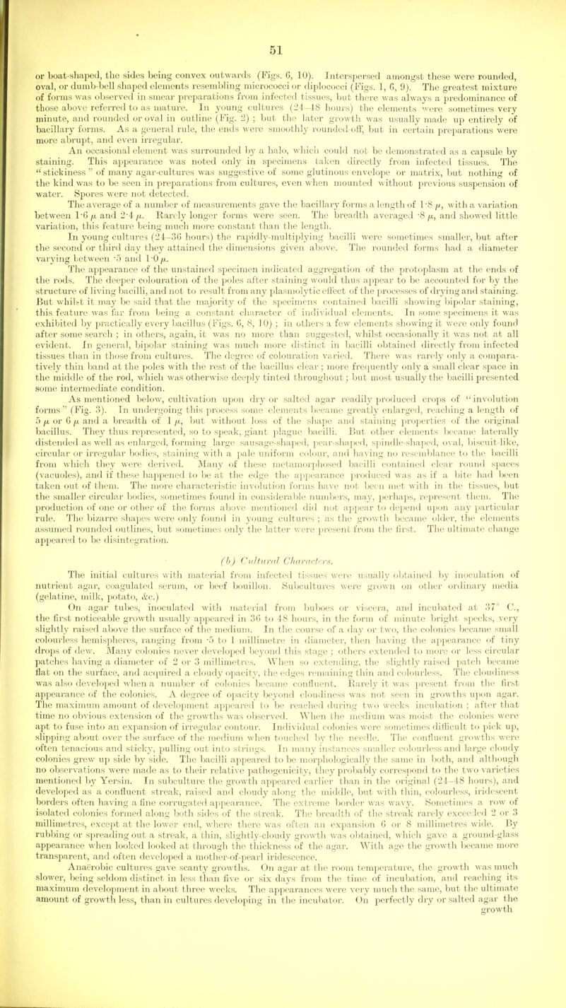 or boat-shaped, the sides being convex outwards (Figs. G, 10). Interspersed amongst these were rounded, oval, or dumb-bell shaped elements resembling micrococci or diplococci (Figs. 1, 6, 9). The greatest mixture of forms was observed in smear preparations from infected tissues, but there was always a predominance of those above referred to as mature. In young cultures (24—18 hours) the elements were sometimes very minute, and rounded or oval in outline (Fig. 2) ; but the later growth was usually made up entirely of bacillary forms. As a general rule, the ends were smoothly rounded-ofF, but in certain preparations were more abrupt, and even irregular. An occasional element was surrounded l)y a halo, wliich could not be demonstrated as a capsule by staining. This appearance was noted only in specimens taken directly from infected tissues. The  stickiness  of many agar-cultures was suggestive of some glutinous envelope or matrix, but nothing of the kind was to be seen in preparations from cultures, even wlien mounted without previous suspension of water. Spores were not detected. The average of a number of measurements gave the bacillary foi'ms a length of 1 -8 /j, with a variation between 1'6|U, and 2'i fx. Rarely longer forms were seen. The breadth averaged '8 fi, and showed little variation, this feature being much more constant than the length. In young cultures (24-36 hours) the I'apidly-multiplying bacilli were sometimes smaller, but after the second or third day they attained the dimensions given above. The rounded forms had a diameter varying between '5 and I'O fi. The appearance of the unstained specimen indicated aggregation of the protoplasm at the ends of the rods. The deeper colouration of the poles after staining would thus appear to be accounted for by the structure of living bacilli, and not to result from any plasmolytic effect of the processes of drying and staining. But whilst it may be said that t)ie majority of the specimens contained bacilli showing bipolar staining, this feature was far from being a constant character of individual elements. In some specimens it was exhibited by practically every bacillus (Figs. G, 8, 10) ; in others a few elements showing it were only found after some search ; in others, again, it was no more than suggested, whilst occasionally it was not at all evident. In general, bipolar staining was much more distinct in bacilli obtained directly from infected tissues than in those from cultures. The degree of colouration varied. There was rarely only a compara- tively thin band at the poles with the I'est of the bacillus clear; more frequently only a small clear space in the middle of the rod, which was otherwise deejily tinted throughout; but most usually the bacilli presented some intermediate condition. As mentioned below, cultivation ujjon dry or salted agar readily produced crops of involution forms  (Fig. 3). In undergoing this process some elements became greatly enlarged, reaching a length of 5 fx or Q fi and a breadth of 1 /x, but without loss of the shape and staining properties of the original bacillus. They thus represented, so to speak, giant plague l)acilli. But other elements became laterally distended as well as enlarged, forming large saiisage-shaped, pear-shaped, spindle-shaped, oval, biscuit-like, circular or irregular bodies, staining with a pale uniform colour, and having no resemblance to the bacilli from which they were derived. Many of these metamorphosed bacilli contained clear I'ound spaces (vacuoles), and if these haj^pened to be at the edge the appearance produced was as if a bite had been taken out of them. The more characteristic involution foi'ms have not been met with in the tissues, but the smaller circular bodies, sometimes found in considerable numbers, may, perhaps, represent them. The production of one or other of the forms above mentioned did not appear to dejiend upon any particular rule. The bizarre shapes were only found in young cultures ; as the growth became older, the elements assumed rounded outlines, but s<jmetinies only the latter v/ere present from the first. The ultinuite change appeared to be disintegi-ation. (b) ('.ulturnl Characters. The initial cultures with jnaterial fj-om infected tissues were usually obtained by inoculation of nutrient agar, coa.gulated serum, or beef bouillon. >Subc-uItures were grown on other ordinary media (gelatine, milk, potato, Ac.) On agar tubes, inoculated with material from buboes or viscera, and incubated at 37 C, the first noticeable growth usually ajapeared in 36 to 48 hours, in the form of minute bright specks, very slightly raised above the surface of the medium. In the course of a day or two, the colonies became small colourless hemispheres, ranging from '5 to 1 millimetre in diameter, then having the appearance of tiny drops of dew. Many ct)lonies never developed beyond this stage ; others extended to more or less circular patches having a diameter of 2 or 3 millimetres. When so extending, the slightly raised patch became Hat on the surface, and acquired a cloudy opacity, the edges remaining thin and colourless. The cloudiness was also developed Avhen a number of colonies became confluent. Barely it was present from the first appearance of the colonies. A degree of opacity beyond cloudiness was not seen in growths upon agar. The maximum amount of development appeared to be reached duiing two weeks incubation ; after that time no obvious extension of the growths was observed. When the medium was moist the colonies were apt to fuse into an expansion of irregular contour. Individual colonies were sometimes difficult to pick up, slipping about over the surface of the medium when touched by the needle. The confluent growths were often tenacious and sticky, pulling out into strings. In many instances smaller colourless and large cloudy colonies grew up side by side. The bacilli aj^peared to be morphologically the same in both, and although no observations were made as to their relative pathogenicity, they probably correspond to the two varieties mentioned by Yersin. In subculture the growth appeared earlier than in the original (24-48 hours), and developed as a confluent streak, raised and cloudy along the middle, but with thin, colourless, iridescent borders often having a fine corrugated appeai-ance. The extreme border was wavy. Sometimes a row of isolated colonies formed along both sides of the streak. The breadth of the streak rarely exceeded 2 or 3 millimetres, except at the lower end,, where there was often an expansion 6 or 8 millimetres wide. By rub))ing or spreading out a streak, a thin, slightly-cloudy growth was obtained, which gave a ground-glass appearance when looked looked at through the thickness of the agar. With age the growth became more transparent, and often developed a mother-of-pearl iridescence. Anaerobic cultures gave scanty growths. On agar at the room temperature, the growth M'as much slower, being seldom distinct in less than five or six days from the time of incubation, and reaching its maximum development in about three weeks. The appearances were very much the same, but the ultimate amount of growth less, than in cultures developing in the incubator. On perfectly dry or salted agar the growth