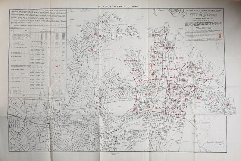 PLAGUE REPORT, 1905.