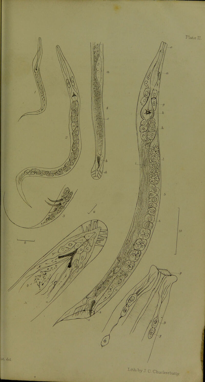 '•^.V.U;,CWWbuLl,y,