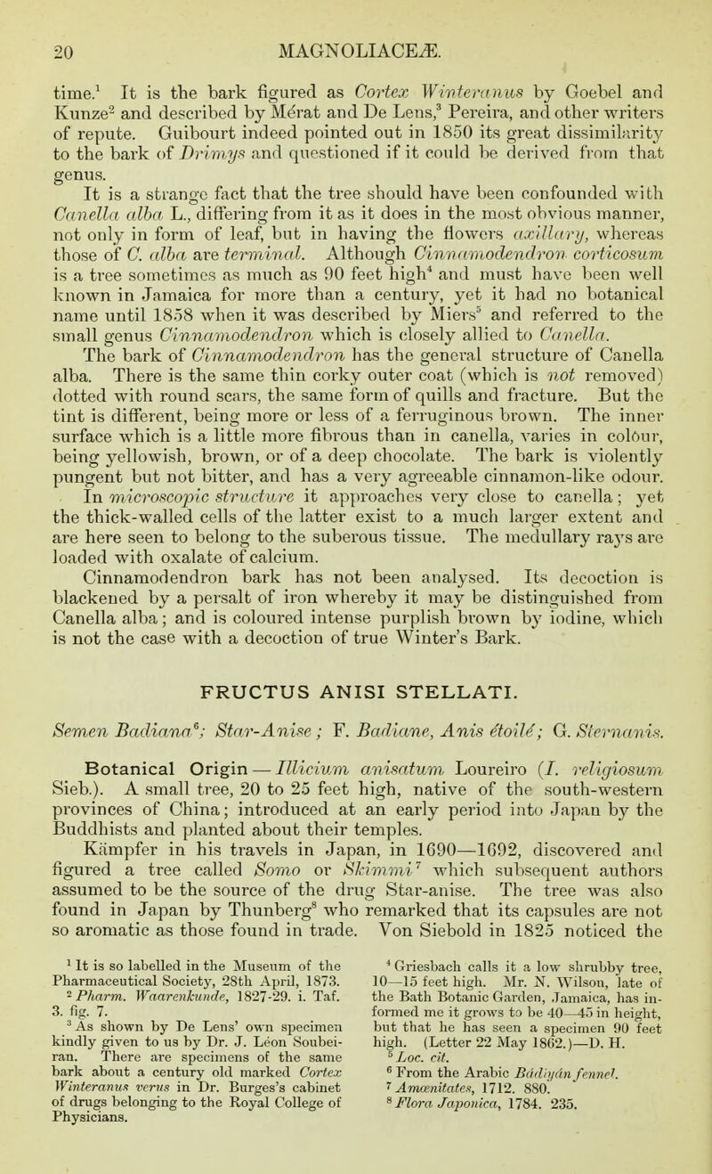 time.' It is the bark figured as Cortex Wivtemiius by Goebel and Kunze- and described by M^rat and De Lens,^ Pereira, and other writei's of repute. Guibourt indeed pointed out in 1850 its great dissimilarity to the bark of Drimyf^ and questioned if it could be derived from that genus. It is a stiange fact that the tree should have been confounded with Ciinclla alba L., differing from it as it does in the most obvious manner, not only in form of leaf, but in having the flowers axillary, whereas those of C. alba are terminal. Although Cimiarnodendrov corticosiim is a tree sometimes as much as 90 feet high'' and must have been well known in Jamaica for more than a century, yet it had no botanical name until 1858 when it was described by Miers' and referred to the small genus Cinnamodendron which is closely allied to Cavella. The bark of Cinnamodendron has the general structure of Cauella alba. There is the same thin corky outer coat (which is not removed) dotted with round scars, the same form of quills and fracture. But the tint is different, being more or le.ss of a ferruginous brown. The inner surface which is a little more fibrous than in canella, varies in colftui-, being yellowish, brown, or of a deep chocolate. The bark is violently pungent but not bitter, and has a very agreeable cinnamon-like odour. In microftcoplc structure it approaches very close to canella; yet the thick-walled cells of the latter exist to a much larger extent and are here seen to belong to the suberous tissue. The medullary ra3's are loaded with oxalate of calcium. Cinnamodendron bark has not been analysed. Its decoction is blackened by a persalt of iron whereby it may be distinguished from Canella alba; and is coloured intense purplish brown by iodine, which is not the case with a decoction of true Winter's Bark. FRUCTUS ANISI STELLATI. Semen Badiann'^; Star-Anise ; F. Badiane, Anis etoiU; G. Siernanh. Botanical Origin — Illicium animtum Loureiro (/. religiosum Sieb.). A small tree, 20 to 25 feet high, native of the south-western provinces of China; introduced at an early period into Japan by the Buddhists and planted about their temples. Kampfer in his travels in Japan, in 1690—1G92, discovered and figured a tree called Somo or Skimmi' which subsequent authors assumed to be the source of the drug Star-anise. The tree was also found in Japan by Thunberg** who remarked that its capsules are not so aromatic as those found in trade. Von Siebold in 1825 noticed the ^ It is so labelled in the Museum of the Pharmaceutical Society, 28th April, 1873. Pharm. Waarenkunde, 1827-29. i. Taf. 3. fig. 7. ^ As shown by De Lens' own specimeii kindly given to us by Dr. J. Leon Soubei- ran. There are specimens of the same bark about a century old marked Cortex Winteramm verus in Dr. Burges's cabinet of drugs belonging to the Royal College of Physicians. * Griesbach calls it a low shrubby tree, 10—15 feet high. Mr. N. Wilson, late of the Bath Botanic Garden, .Tamaica, lias in- formed me it grows to be 40—45 in height, but that he lias seen a specimen 90 feet high. (Letter 22 May 1862.)—D. H. ^ Loc. cit. ^ From the Arabic Bddii/dn fennd. T Amoenitatc.it, 1712. 880[ ^ Flora Japonica, 1784. 235.