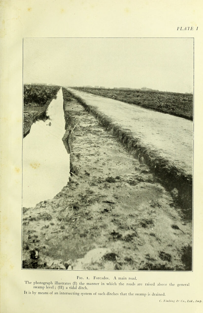 Fig. I. Forcados. A main road. photograph illustrates (I) the manner in which the roads are raised above the o-eneral swamp level ; (II) a tidal ditch. ^ by means of an intersecting system of such ditches that the swamp is drained. C. Thilinq Co., Lid., Imp.