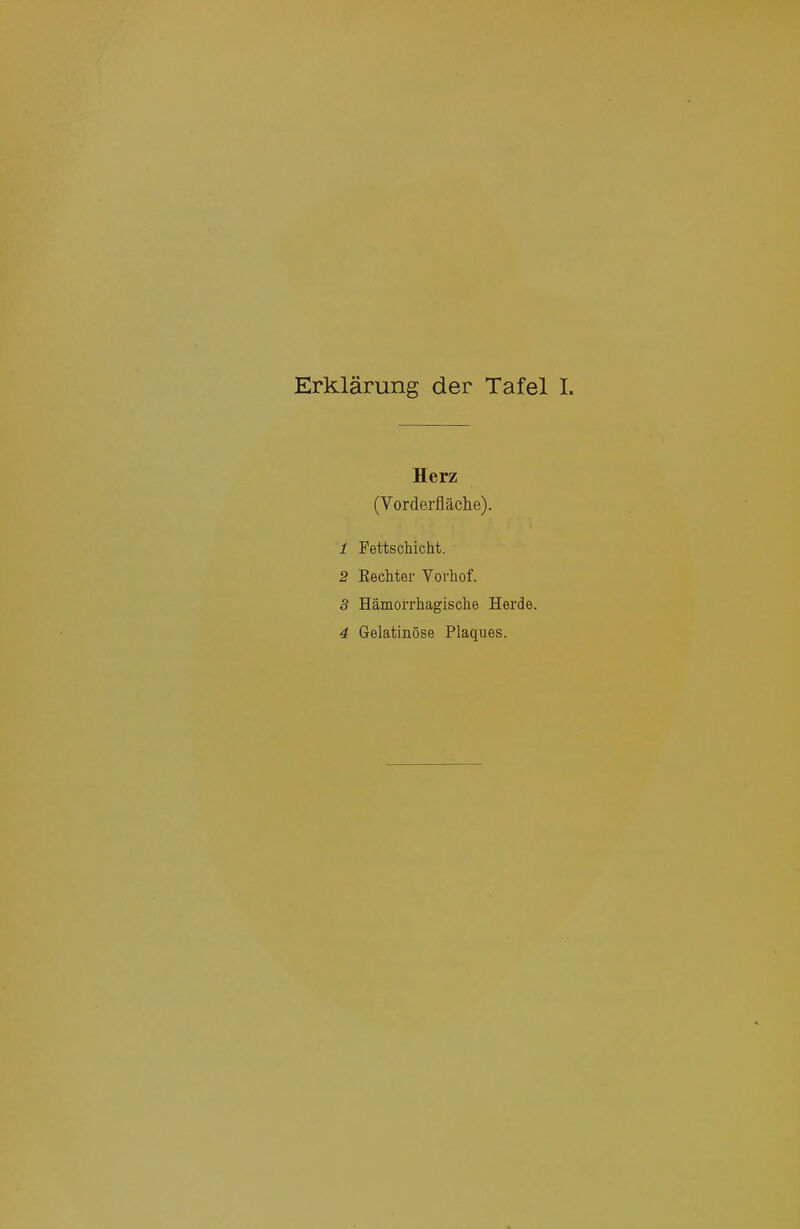 Herz (Vorderfläche). 1 Fettschicht. 2 Eechter Vorhof. 3 Hämorrhagische Herde.