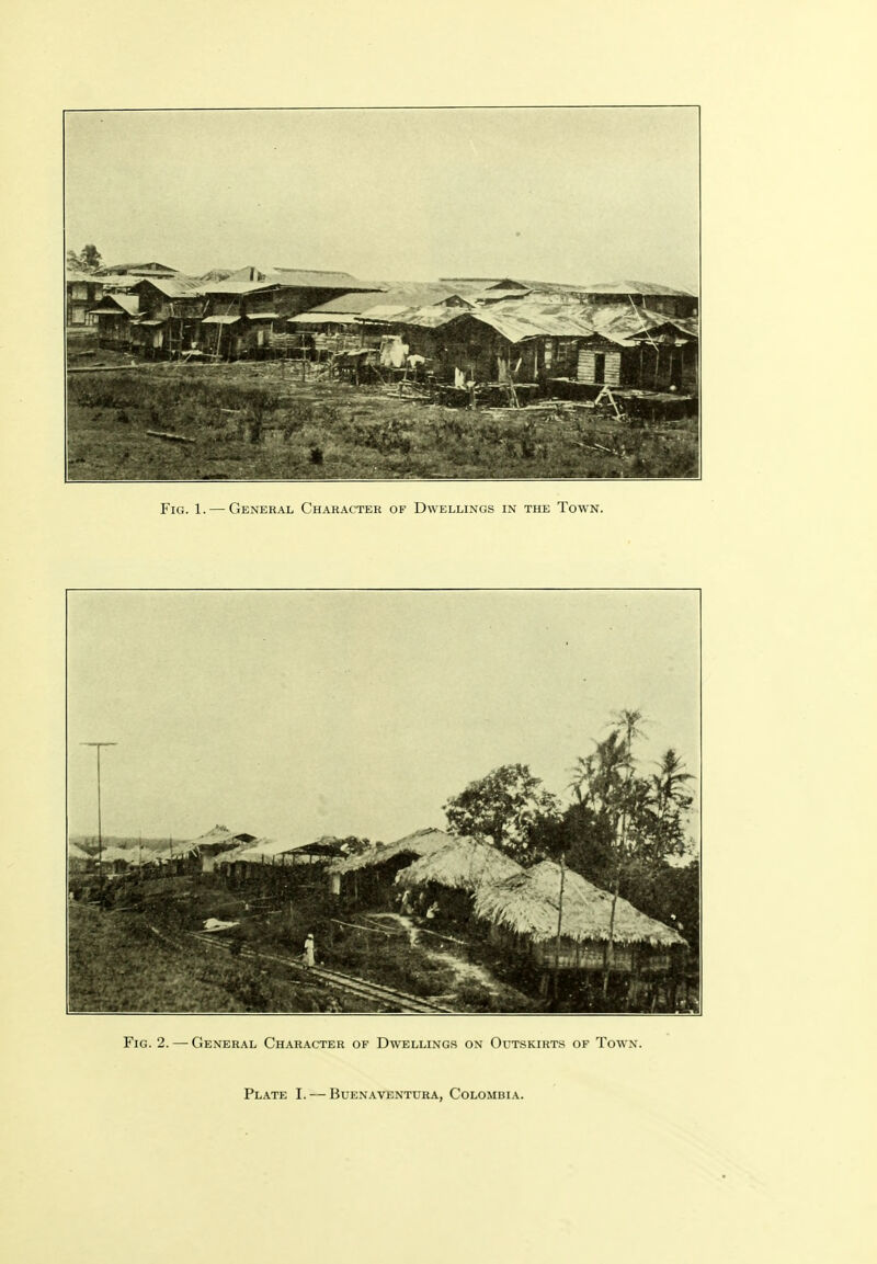 Fig. 2. — General Character of Dwelling.s on Outskirt.s of Town. Plate I. — Buenaventura, Colombia.