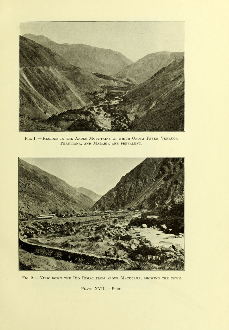 Fig. 2. — View down the Rio RiMAr from above Matucana, showing the town.