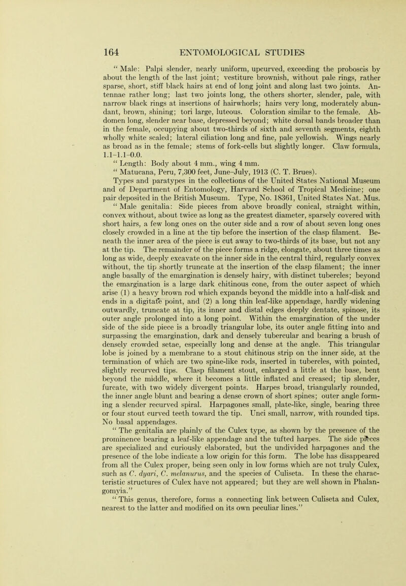  Male: Palpi slender, nearly uniform, upcurved, exceeding the proboscis by about the length of the last joint; vestiture brownish, without pale rings, rather sparse, short, stiff black hairs at end of long joint and along last two joints. An- tennae rather long; last two joints long, the others shorter, slender, pale, with narrow black rings at insertions of hairwhorls; hairs very long, moderately abun- dant, brown, shining; tori large, luteous. Coloration similar to the female. Ab- domen long, slender near base, depressed beyond; white dorsal bands broader than in the female, occupying about two-thirds of sixth and seventh segments, eighth wholly white scaled; lateral ciliation long and fine, pale yellowish. Wings nearly as broad as in the female; stems of fork-cells but slightly longer. Claw formula, 1.1-1.1-0.0.  Length: Body about 4 mm., wing 4 mm.  Matucana, Peru, 7,300 feet, June-July, 1913 (C. T. Brues). Types and paratypes in the collections of the United States National Museum and of Department of Entomology, Harvard School of Tropical Medicine; one pair deposited in the British Museum. Type, No. 18361, United States Nat. Mus. Male genitalia: Side pieces from above broadly conical, straight within, convex without, about twice as long as the greatest diameter, sparsely covered with short hairs, a few long ones on the outer side and a row of about seven long ones closely crowded in a line at the tip before the insertion of the clasp filament. Be- neath the inner area of the piece is cut away to two-thirds of its base, but not any at the tip. The remainder of the piece forms a ridge, elongate, about three times as long as wide, deeply excavate on the inner side in the central third, regularly convex without, the tip shortly truncate at the insertion of the clasp filament; the inner angle basally of the emargination is densely hairy, with distinct tubercles; beyond the emargination is a large dark chitinous cone, from the outer aspect of which arise (1) a heavy brown rod which expands beyond the middle into a half-disk and ends in a digitafe point, and (2) a long thin leaf-like appendage, hardly widening outwardly, truncate at tip, its inner and distal edges deeply dentate, spinose, its outer angle prolonged into a long point. Within the emargination of the under side of the side piece is a broadly triangular lobe, its outer angle fitting into and surpassing the emargination, dark and densely tubercular and bearing a brush of densely crowded setae, especially long and dense at the angle. This triangular lobe is joined by a membrane to a stout chitinous strip on the inner side, at the termination of which are two spine-like rods, inserted in tubercles, with pointed, slightly recurved tips. Clasp filament stout, enlarged a little at the base, bent beyond the middle, where it becomes a httle inflated and creased; tip slender, furcate, with two widely divergent points. Harpes broad, triangularly rounded, the inner angle blunt and bearing a dense crown of short spines; outer angle form- ing a slender recurved spiral. Harpagones small, plate-like, single, bearing three or four stout curved teeth toward the tip. Unci small, narrow, with rounded tips. No basal appendages.  The genitalia are plainly of the Culex type, as shown by the presence of the prominence bearing a leaf-like appendage and the tufted harpes. The side pieces are specialized and curiously elaborated, but the undivided harpagones and the presence of the lobe indicate a low origin for this form. The lobe has disappeared from all the Culex proper, being seen only in low forms which are not truly Culex, such as C. dyari, C. melanurus, and the species of Culiseta. In these the charac- teristic structures of Culex have not appeared; but they are well shown in Phalan- gomyia.  This genus, therefore, forms a connecting link between Culiseta and Culex, nearest to the latter and modified on its own peculiar lines.