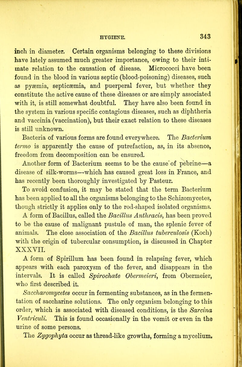 inch in diameter. Certain organisms belonging to these divisions have lately assumed much greater importance, owing to their inti- mate relation to the causation of disease. Micrococci have been found in the blood in various septic (blood-poisoning) diseases, such as pyaemia, septicaemia, and puerperal fever, but whether they constitute the active cause of these diseases or are simply associated with it, is still somewhat doubtful. They have also been found in the system in various specific contagious diseases, such as diphtheria and vaccinia (vaccination), but their exact relation to these diseases is still unknown. Bacteria of various forms are found everywhere. The Bacterium termo is apparently the cause of putrefaction, as, in its absence, freedom from decomposition can be ensured. Another form of Bacterium seems to be the cause* of ^brine—a disease of silk-worms—which has caused great loss in France, and has recently been thoroughly investigated by Pasteur. To avoid confusion, it may be stated that the term Bacterium has been applied to all the organisms belonging to the Schizomycetes, though strictly it applies only to the rod-shaped isolated organisms. A form of Bacillus, called the Bacillus Antliracis, has been proved to be the cause of malignant pustule of man, the splenic fever of animals. The close association of the Bacillus tuberculosis (Koch) with the origin of tubercular consumption, is discussed in Chapter XXXYII. A form of Spirillum has been found in relapsing fever, which appears with each paroxysm of the fever, and disappears in the intervals. It is called SjpirocTicete Obermeieri^ from Obermeier, who first described it. Saccharomycetes occur in fermenting substances, as in the fermen- tation of saccharine solutions. The only organism belonging to this order, which is associated with diseased conditions, is the Sarcina Ventriculi. This is found occasionally in the vomit or even in the urine of some persons. The ZygojpTiyta occur as thread-like growths, forming a mycelium.