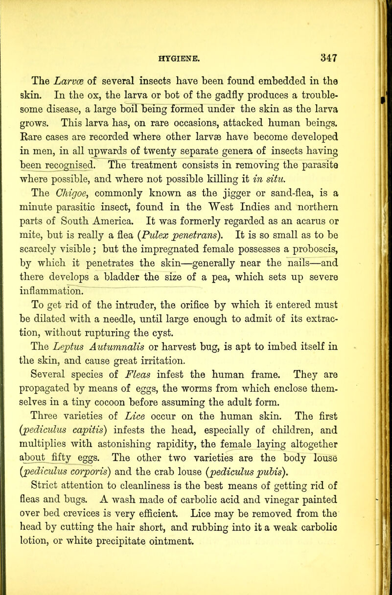 The Larvae, of several insects have been found embedded in the skin. In the ox, the larva or bot of the gadfly produces a trouble- some disease, a large boil Being formed under the skin as the larva grows. This larva has, on rare occasions, attacked human beings. Rare cases are recorded where other larvae have become developed in men, in all upwards of twenty separate genera of insects having b^i^ecognised. The treatment consists in removing the parasite where possible, and where not possible killing it in situ. The Chigoe, commonly known as the jigger or sand-flea, is a minute parasitic insect, found in the West Indies and northern parts of South America. It was formerly regarded as an acarus or mite, but is really a flea {Pulex penetrans). It is so small as to be scarcely visible; but the impregnated female possesses a proboscis, by which it penetrates the skin—generally near the nails—and there develops a bladder the size of a pea, which sets up severe inflammation. To get rid of the intruder, the orifice by which it entered must be dilated with a needle, until large enough to admit of its extrac- tion, without rupturing the cyst. The Leptus Autumnalis or harvest bug, is apt to imbed itself in the skin, and cause great irritation. Several species of Fleas infest the human frame. They are propagated by means of eggs, the worms from which enclose them- selves in a tiny cocoon before assuming the adult form. Three varieties of Lice occur on the human skin. The first (pediculus capitis) infests the head, especially of children, and multiplies with astonishing rapidity, the female laying altogether about fifty eggs. The other two varieties are the body louse [pediculus corporis) and the crab louse [pediculus pubis). Strict attention to cleanliness is the best means of getting rid of fleas and bugs. A wash made of carbolic acid and vinegar painted over bed crevices is very efficient. Lice may be removed from the head by cutting the hair short, and rubbing into it a weak carbolic lotion, or white precipitate ointment.