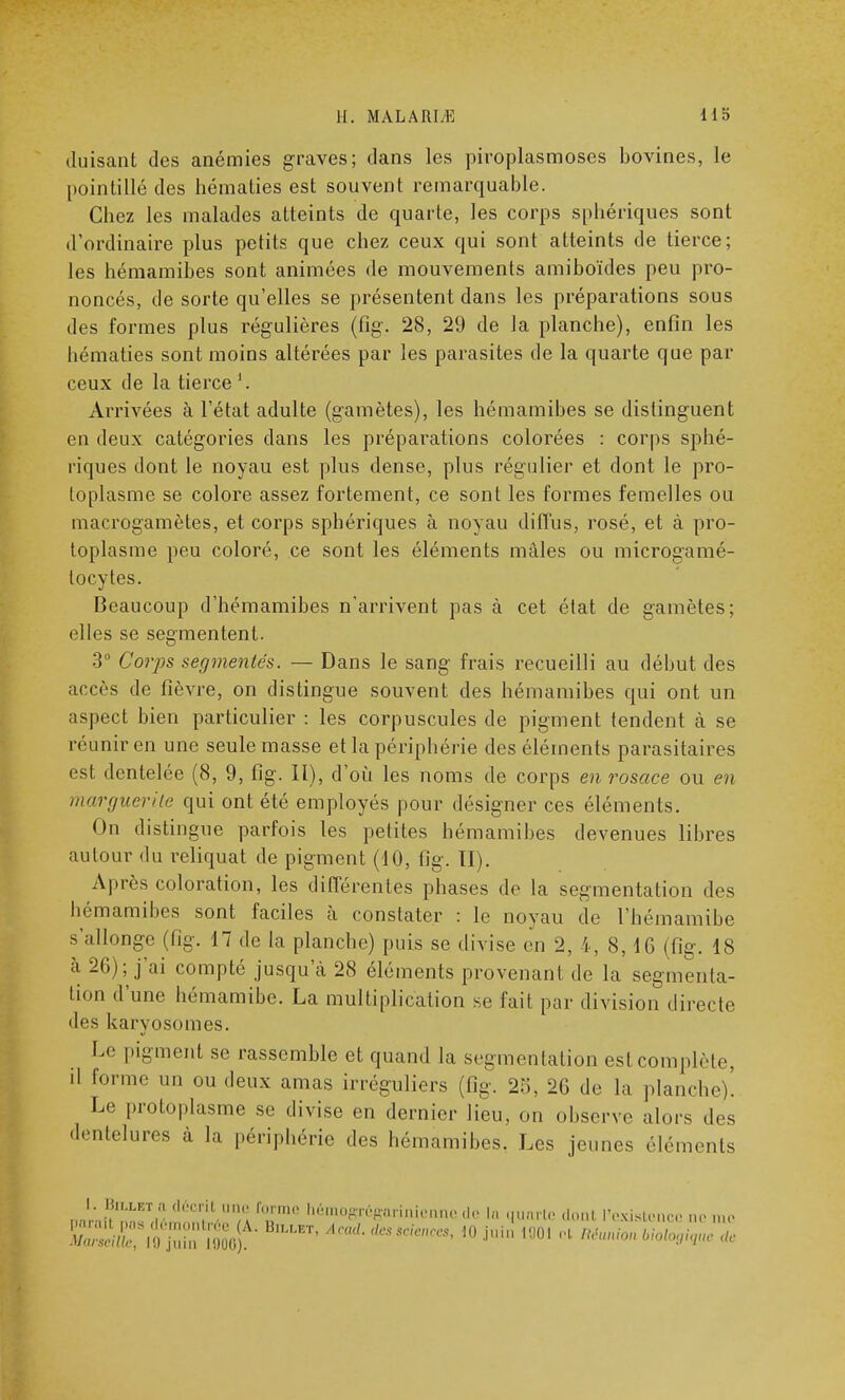 duisant des anémies graves; dans les piroplasmoses bovines, le pointillé des hématies est souvent remarquable. Chez les malades atteints de quarte, les corps sphériques sont d'ordinaire plus petits que chez ceux qui sont atteints de tierce; les hémamibes sont animées de mouvements amiboïdes peu pro- noncés, de sorte qu'elles se présentent dans les préparations sous des formes plus régulières (fig. 28, 29 de la planche), enfin les hématies sont moins altérées par les parasites de la quarte que par ceux de la tierce Arrivées à l'état adulte (gamètes), les hémamibes se distinguent en deux catégories dans les préparations colorées : corps sphé- riques dont le noyau est plus dense, plus régulier et dont le pro- toplasme se colore assez fortement, ce sont les formes femelles ou macrogamètes, et corps sphériques à noyau diffus, rosé, et à pro- toplasme peu coloré, ce sont les éléments mâles ou microgamé- locytes. Beaucoup d'hémamibes n'arrivent pas à cet état de gamètes; elles se segmentent. 3° Corps segmentés. — Dans le sang frais recueilli au début des accès de fièvre, on distingue souvent des hémamibes qui ont un aspect bien particulier : les corpuscules de pigment tendent à se réunir en une seule masse et la périphérie des éléments parasitaires est dentelée (8, 9, fig. II), d'où les noms de corps en rosace ou en marguerite qui ont été employés pour désigner ces éléments. On distingue parfois les petites hémamibes devenues libres autour du reliquat de pigment (10, fig. II). Après coloration, les différentes phases de la segmentation des hémamibes sont faciles à constater : le noyau de l'hémamibe s'allonge (fig. 17 de la planche) puis se divise en 2, 4, 8,1G (fig. 18 à 26); j'ai compté jusqu'à 28 éléments provenant de la segmenta- tion d'une hémamibe. La multiplication se fait par division directe des karyosomes. Le pigment se, rassemble et quand la segmentation est complète, il forme m, ou deux amas irréguliers (fig. 25, 26 de la planche)! Le protoplasme se divise en dernier lieu, on observe alors des dentelures à la périphérie des hémamibes. Les jeunes éléments '•''■'•'Vf f°rme hémogrôgariniennede I, qunrte doal l'existence no me