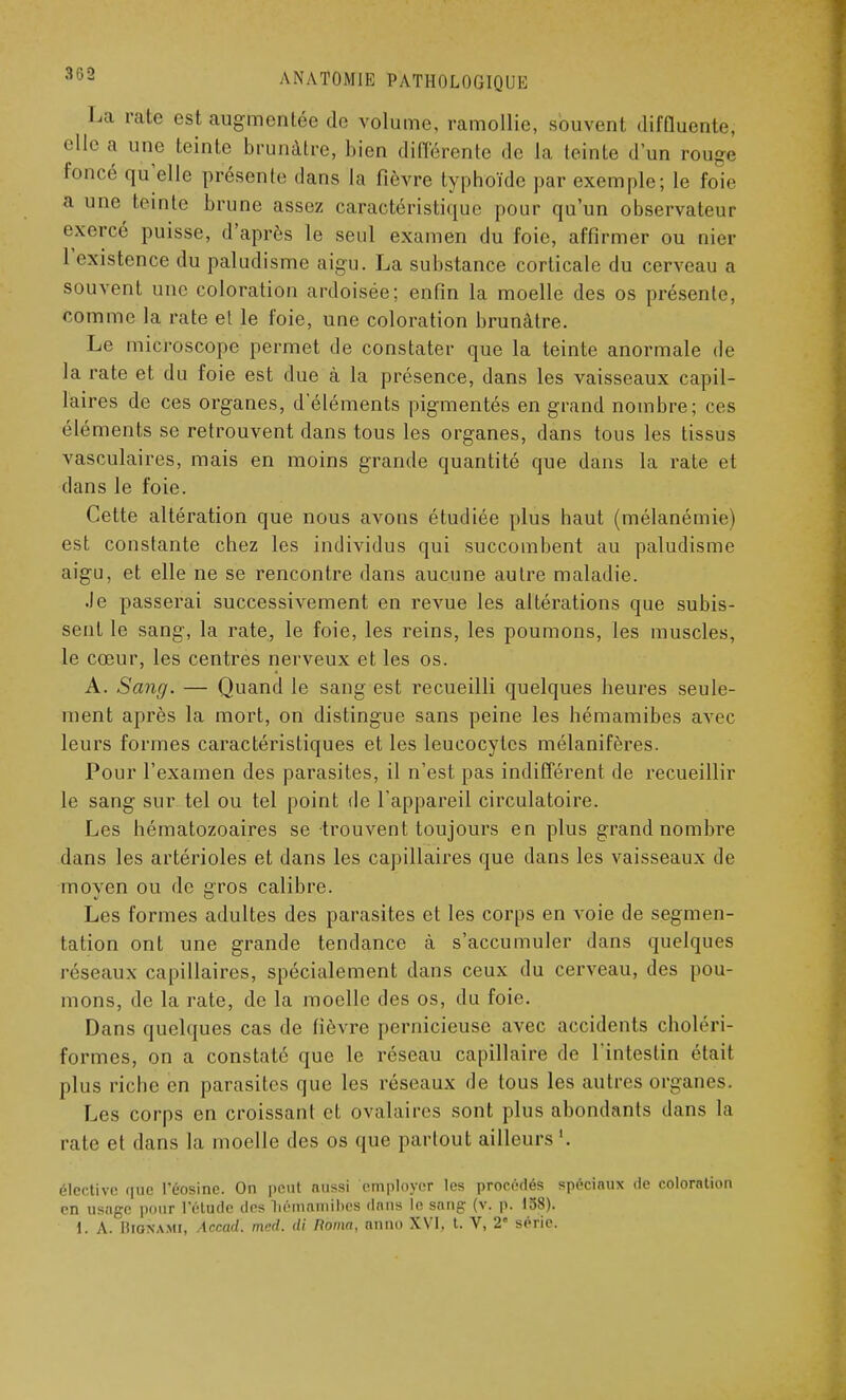 La ralte est augmentée de volume, ramollie, souvent diffluente, elle a une teinte brunâtre, bien différente de la teinte d'un roug« foncé qu'elle présente dans la fièvre typhoïde par exemple; le foie a une teinte brune assez caractéristique pour qu'un observateur exercé puisse, d'après le seul examen du foie, affirmer ou oier l'existence du paludisme aigu. La substance corticale du cerveau a souvent une coloration ardoisée; enfin la moelle des os présente, comme la rate et le foie, une coloration brunâtre. Le microscope permet de constater que la teinte anormale de la rate et du foie est due à la présence, dans les vaisseaux capil- laires de ces organes, d'éléments pigmentés en grand nombre; ces éléments se retrouvent dans tous les organes, dans tous les tissus vasculaires, mais en moins grande quantité que dans la rate et dans le foie. Cette altération que nous avons étudiée plus haut (mélanémie) est constante chez les individus qui succombent au paludisme aigu, et elle ne se rencontre dans aucune autre maladie. Je passerai successivement en revue les altérations que subis- sent le sang, la rate, le foie, les reins, les poumons, les muscles, le cœur, les centres nerveux et les os. A. Sang. — Quand le sang est recueilli quelques heures seule- ment après la mort, on distingue sans peine les hémamibes avec leurs formes caractéristiques et les leucocytes mélanifères. Pour l'examen des parasites, il n'est pas indifférent de recueillir le sang sur tel ou tel point de l'appareil circulatoire. Les hématozoaires se trouvent toujours en plus grand nombre dans les artérioles et dans les capillaires que dans les vaisseaux de moyen ou de gros calibre. Les formes adultes des parasites et les corps en voie de segmen- tation ont une grande tendance à s'accumuler dans quelques réseaux capillaires, spécialement dans ceux du cerveau, des pou- mons, de la rate, de la moelle des os, du foie. Dans quelques cas de lièvre pernicieuse avec accidents choléri- formes, on a constaté que le réseau capillaire de l'intestin élait plus riche en parasites que les réseaux de tous les autres organes. Les corps en croissant et ovalaires sont plus abondants dans la rate et dans la moelle des os que partout ailleurs '. élective que l'éosinc. On peut aussi employer les procédés spéciaux de colorntion en usage pour l'étude des hémamibes dans le sang (v. p. 158). 1. A. B ion ami, Accad. mcd. di ftomn, nnno XVI, t. V, 2 série.