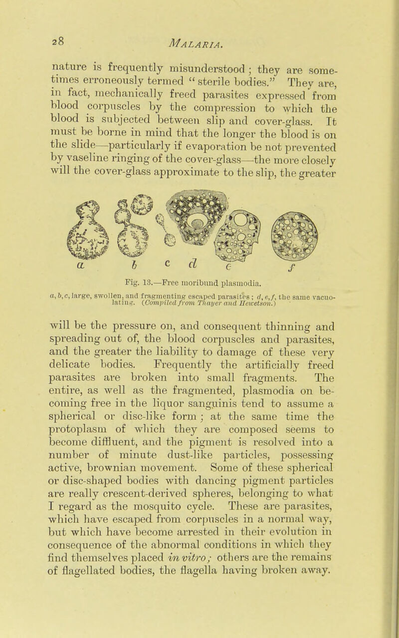 nature is frequently misunderstood ; they are some- times erroneously termed  sterile bodies. They are, in fact, mechanically freed parasites expressedfrom blood corpuscles by the compression to which the blood is subjected between slip and cover-glass. It must be borne in mind that the longer the blood is on the slide—particularly if evaporation be not prevented by vaseline ringing of the cover-glass—the more closely will the cover-glass approximate to the slip, the greater Fig. 13.—Free moribund Plasmodia. a, b,c, large, swollen, and fragmenting escaped parasites ; d, e,/, the same vacuo- lating. {Compiled from Thayer and Ifcicetsmi.) will be the pressure on, and consequent thinning and spreading out of, the blood corpuscles and parasites, and the greater the liability to damage of these very delicate bodies. Frequently the artificially freed parasites are broken into small fragments. The entire, as well as the fragmented, plasmodia on be- coming free in the liquor sanguinis tend to assume a spherical or disc-like form ; at the same time the protoplasm of which they are composed seems to become diffluent, and the pigment is resolved into a number of minute dust-like particles, possessing active, brownian movement. Some of these spherical or disc-shaped bodies with dancing pigment particles are really crescent-derived spheres, belonging to what I regard as the mosquito cycle. These are parasites, which have escaped from corpuscles in a normal way, but which have become arrested in their evolution in consequence of the abnormal conditions in which they find themselves placed in vitro; others are the remains of flagellated bodies, the flagella having broken away.