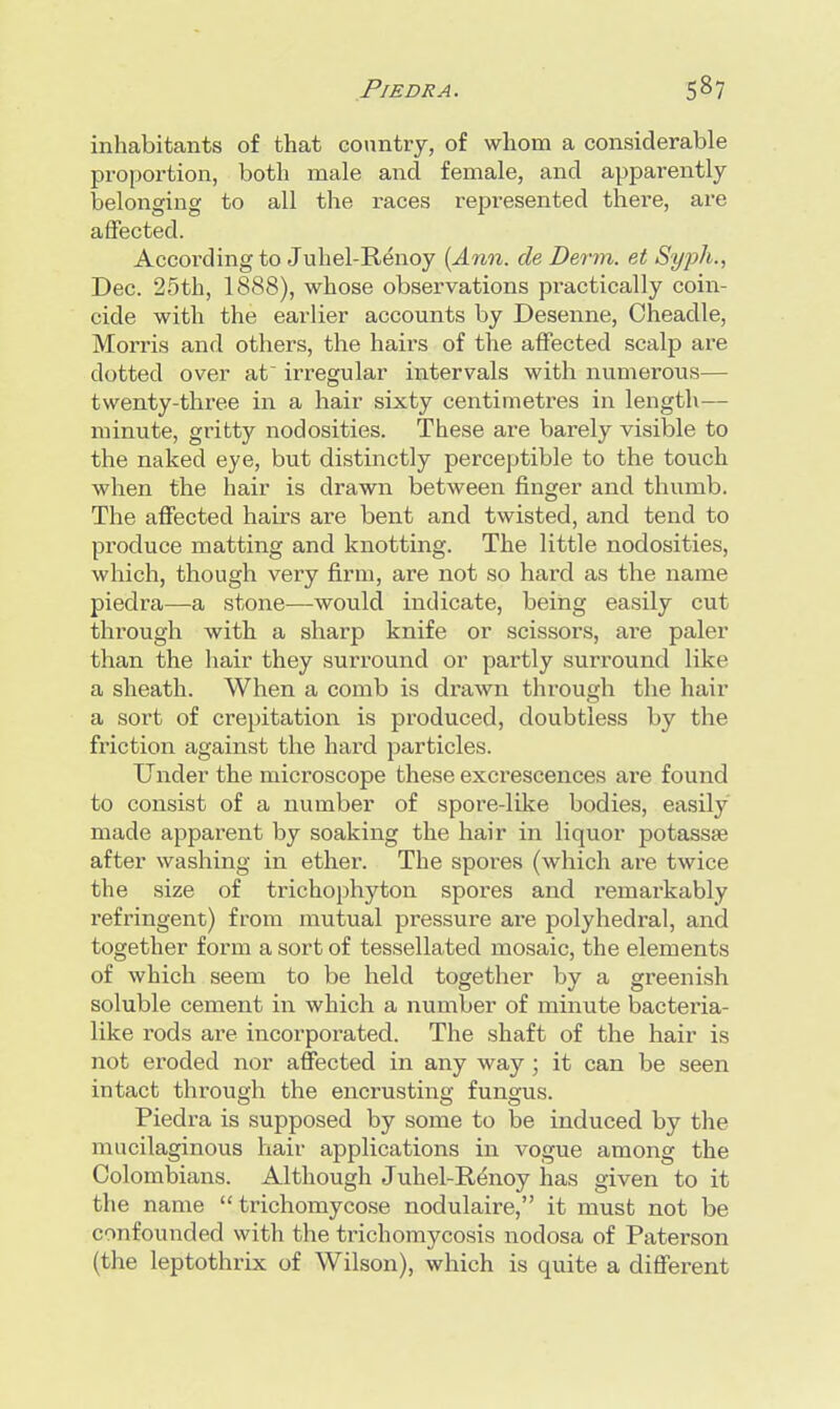 inhabitants of that country, of whom a considerable proportion, both male and female, and apparently belonging to all the races represented there, are affected. According to Juhel-Renoy (Ann. de Derm, et Syph., Dec. 25th, 1888), whose observations practically coin- cide with the earlier accounts by Desenne, Cheadle, Morris and others, the hairs of the affected scalp are dotted over at irregular intervals with numerous— twenty-three in a hair sixty centimetres in length— minute, gritty nodosities. These are barely visible to the naked eye, but distinctly perceptible to the touch when the hair is drawn between finger and thumb. The affected hairs are bent and twisted, and tend to produce matting and knotting. The little nodosities, which, though very firm, are not so hard as the name piedra—a stone—would indicate, being easily cut through with a sharp knife or scissors, are paler than the hair they surround or partly surround like a sheath. When a comb is drawn through the hair a sort of crepitation is produced, doubtless by the friction against the hard particles. Under the microscope these excrescences are found to consist of a number of spore-like bodies, easily made apparent by soaking the hair in liquor potassa? after washing in ethei\ The spores (which are twice the size of trichophyton spores and remarkably refringent) from mutual pressure are polyhedral, and together form a sort of tessellated mosaic, the elements of which seem to be held together by a greenish soluble cement in which a number of minute bacteria- like rods are incorporated. The shaft of the hair is not eroded nor affected in any way; it can be seen intact through the encrusting fungus. Piedra is supposed by some to be induced by the mucilaginous hair applications in vogue among the Colombians. Although Juliel-Renoy has given to it the name  trichomycose nodulaire, it must not be confounded with the trichomycosis nodosa of Paterson (the leptothrix of Wilson), which is quite a different