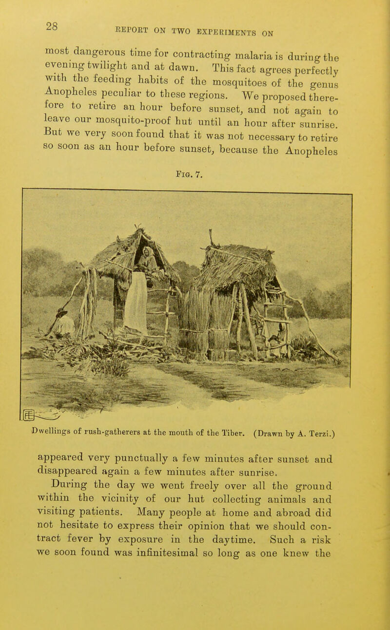 EEPOET ON TWO EXPERIMENTS ON most dangerous time for contracting malaria is during the evening twilight and at dawn. This fact agrees perfectly with the feeding habits of the mosquitoes of the genus Anopheles peculiar to these regions. We proposed there- fore to retire an hour before sunset, and not again to leave our mosquito-proof hut until an hour after sunrise. But we very soon found that it was not necessary to retire so soon as an hour before sunset, because the Anopheles Fig. 7. Dwellings of rush-gatherers at the mouth of the Tiber. (Drawn by A. Terzi.) appeared very punctually a few minutes after sunset and disappeared again a few minutes after sunrise. During the day we went freely over all the ground within the vicinity of our hut collecting animals and visiting patients. Many people at home and abroad did not hesitate to express their opinion that we should con- tract fever by exposure in the daytime. Such a risk we soon found was infinitesimal so long as one knew the