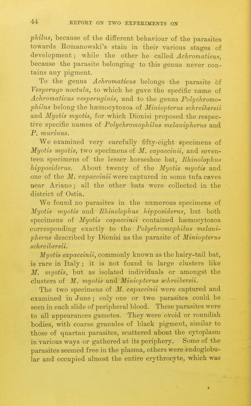 jphilus, because of the different behaviour of the parasites towards Romanowski's stain in their various stages of development; while the other he called Achromaticus, because the parasite belonging to this genus never con- tains any pigment. To the genus Achromaticus belongs the parasite of Vesperugo noctula, to which he gave the specific name of Achromaticus vesperuginis, and to the genus Polychromo- philus belong the hsemocytozoa of Miniopterus schreihersii and Myotis myotis, for which Dionisi proposed the respec- tive specific names of Polychromophilus melaniphertis and P. murinus. We examined very carefully fifty-eight specimens of Myotis myotis, two specimens of M. capaccinii, and seven- teen specimens of the lesser horseshoe bat, Ehinolophus hipposiderus. About twenty of the Myotis myotis and one of the M. capaccinii were captured in some tufa caves near Ariano; all the other bats were collected in the district of Ostia, We found no parasites in the numerous specimens of Myotis myotis and Rhinolophus hipposiderus, but both specimens of Myotis capaccinii contained hsemocytozoa corresponding exactly to the Polychromophilus melani- pherus described by Dionisi as the parasite of Miniopterus schreihersii. Myotis capaccinii, commonly known as the hairy-tail bat, is rare in Italy : it is not found in large clusters like M. myotis, but as isolated individuals or amongst the clusters of M. myotis and Miniopterus schreihersii. The two specimens of M. capaccinii were captured and examined in June; only one or two parasites could be seen in each slide of peripheral blood. These parasites were to all appearances gametes. They were ovoid or roundish bodies, with coarse granules of black pigment, similar to those of quartan parasites, scattered about the cytoplasm in various ways or gathered at its periphery. Some of the parasites seemed free in the plasma, others were endoglobu- lar and occupied almost the entire erythrocyte, which was