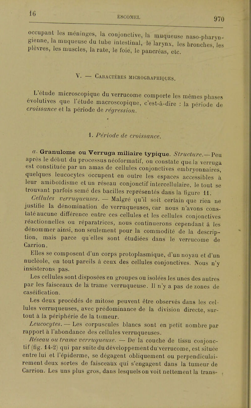 ÈSCÔMEL 970 occupant les méninges, la conjonctive, la muqueuse naso-pharyn- g.enne, la muqueuse du tube intestinal, le larynx, les bronches, les plèvres, les muscles, la rate, le foie, le pancréas, etc. V. — Caractères micrograpuiques. L'étude microscopique du verrucome comporte les mêmes phases évolutives que l'étude macroscopique, c'est-à-dire : la période de croissance et la période de régression. 1. Période de croissance. a. Granulome ou Verruga miliaire typique. Structure.— Peu après le début du processus néoformatif, on constate que la verruga est constituée par un amas de cellules conjonctives embryonnaires, quelques leucocytes occupent en outre les espaces accessibles à leur amiboïdisme et un réseau conjonctif intercellulaire, le tout se trouvant parfois semé des bacilles représentés dans la figure 11. Cellules verruqueuses. — Malgré qu'il soit certain que rien ne justifie la dénomination de verruqueuses, car nous n'avons cons- taté aucune différence entre ces cellules et les cellules conjonctives réactionnelles ou réparatrices, nous continuerons cependant à les dénommer ainsi, non seulement pour la commodité de la descrip- tion, mais parce qu'elles sont étudiées dans le verrucome de Carrion. Elles se composent d'un corps protoplasmique, d'un noyau et d'un nucléole, en tout pareils à ceux des cellules conjonctives. Nous n'y insisterons pas. Les cellules sont disposées en groupes ou isolées les unes des autres par les faisceaux de la trame verruqueuse. Il n'y a pas de zones de caséification. Les deux procédés de mitose peuvent être observés dans les cel- lules verruqueuses, avec prédominance de la division directe, sur- tout à la périphérie de la tumeur. Leucocytes. — Les corpuscules blancs sont en petit nombre par rapport à l'abondance des cellules verruqueuses. Réseau ou trame verruqueuse. — De la couche de tissu conjonc- tif (fig. 14-2) qui par suite du développement du'verrucome, est située entre lui et l'épiderme, se dégagent obliquement ou perpendiculai- rement deux sortes de faisceaux qui s'engagent dans la tumeur de Carrion. Les uns plus gros, dans lesquels on voit nettement la trans- ,