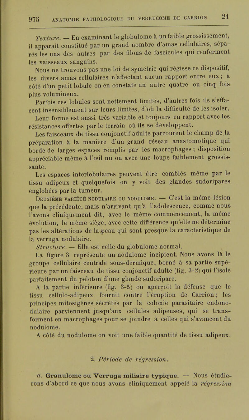 Texture. — En examinant le globulome à un faible grossissement, il apparaît constitué par un grand nombre d'amas cellulaires, sépa- rés les uns des autres par des filons de fascicules qui renferment les vaisseaux sanguins. Nous ne trouvons pas une loi de symétrie qui régisse ce dispositif, les divers amas cellulaires n'affectant aucun rapport entre eux ; à côté d'un petit lobule on en constate un autre quatre ou cinq fois plus volumineux. Parfois ces lobules sont nettement limités, d'autres fois ils s'effa- cent insensiblement sur leurs limites, d'où la difficulté de les isoler. Leur forme est aussi très variable et toujours en rapport avec les résistances offertes parle terrain où ils se développent. Les faisceaux de tissu conjonctif adulte parcourent le champ de la préparation à la manière d'un grand réseau anastomotique qui borde de larges espaces remplis par les macrophages ; disposition appréciable même à l'œil nu ou avec une loupe faiblement grossis- sante. Les espaces interlobulaires peuvent être comblés même par le tissu adipeux et quelquefois on y voit des glandes sudoripares englobées par la tumeur. Deuxième variété nodulaire ou nodulome. — C'est la même lésion que la précédente, mais n'arrivant qu'à l'adolescence, comme nous l'avons cliniquement dit, avec le même commencement, la même évolution, le même siège, avec cette différence qu'elle ne détermine pas les altérations de la^eau qui sont presque la caractéristique de la verruga nodulaire. Structure. — Elle est celle du globulome normal. La figure 3 représente un nodulome incipient. Nous avons là le groupe cellulaire centrale sous-dermique, borné à sa partie supé- rieure par un faisceau de tissu conjonctif adulte (fig. 3-2) qui l'isole parfaitement du peloton d'une glande sudoripare. A la partie inférieure (fig. 3-5) on aperçoit la défense que le tissu cellulo-adipeux fournit contre l'éruption de Garrion; les principes mitosigènes sécrétés par la colonie parasitaire endono- dulaire parviennent jusqu'aux cellules adipeuses, qui se trans- forment en macrophages pour se joindre à celles qui s'avancent du nodulome. A côté du nodulome on voit une faible quantité de tissu adipeux. 2. Période de régression. a. Granulome ou Verruga miliaire typique. — Nous étudie- rons d'abord ce que nous avons cliniquement appelé la régression