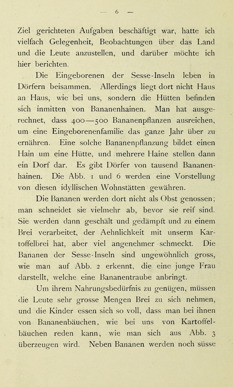 Ziel gerichteten Aufgaben beschäftigt war, hatte ich vielfach Gelegenheit, Beobachtungen über das Land und die Leute anzustellen, und darüber möchte ich hier berichten. Die Eingeborenen der Sesse-Inseln leben in Dörfern beisammen. Allerdings liegt dort nicht Haus an Haus, wie bei uns, sondern die Hütten befinden sich inmitten von Bananenhainen. Man hat ausge- rechnet, dass 400—500 Bananenpflanzen ausreichen, um eine Eingeborenenfamilie das ganze Jahr über zu ernähren. Eine solche Bananenpflanzung bildet einen Hain um eine Hütte, und mehrere Haine stellen dann ein Dorf dar. Es gibt Dörfer von tausend Bananen- hainen. Die Abb. i und 6 werden eine Vorstellung von diesen idyllischen Wohnstätten gewähren. Die Bananen werden dort nicht als Obst genossen; man schneidet sie vielmehr ab, bevor sie reif sind. Sie werden dann geschält und gedämpft und zu einem Brei verarbeitet, der Aehnlichkeit mit unser.m Kar- toffelbrei hat, aber viel angenehmer schmeckt. Die Bananen der Sesse-Inseln sind ungewöhnlich gross, wie man auf Abb. 2 erkennt, die eine junge Frau darstellt, welche eine Bananentraube anbringt. Um ihrem Nahrungsbedürfnis zu genügen, müssen die Leute sehr grosse Mengen Brei zu sich nehmen, und die Kinder essen sich so voll, dass man bei ihnen von Bananenbäuchen, wie bei uns von Kartoffel- bäuchen reden kann, wie man sich aus Abb. 3 überzeueen wird. Neben Bananen werden noch süsse