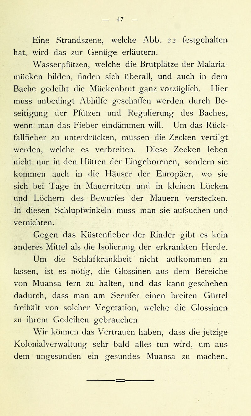 Eine Strandszene, welche Abb. 22 festgehalten hat, wird das zur Genüge erläutern. Wasserpfützen, welche die Brutplätze der Malaria- mücken bilden, finden sich überall, und auch in dem Bache gedeiht die Mückenbrut ganz vorzüglich. Hier muss unbedingt Abhilfe geschaffen werden durch Be- seitigung der Pfützen und Regulierung des Baches^ wenn man das Fieber eindämmen will. Um das Rück- fallfieber zu unterdrücken, müssen die Zecken vertilgt werden, welche es verbreiten. Diese Zecken leben nicht nur in den Hütten der Eingeborenen, sondern sie kommen auch in die Häuser der Europäer, wo sie sich bei Tao^e in Mauerritzen und in kleinen Lückea und Löchern des Bewurfes der Mauern verstecken. In diesen Schlupfwinkeln muss man sie aufsuchen und vernichten. Gegen das Küstenfieber der Rinder gibt es kein anderes Mittel als die Isolierung der erkrankten Herde. Um die Schlafkrankheit nicht aufkommen zu lassen, ist es nötig, die Glossinen aus dem Bereiche von Muansa fern zu halten, und das kann geschehen dadurch, dass man am Seeufer einen breiten Gürtel freihält von solcher Vegetation, welche die Glossinen zu ihrem Gedeihen gebrauchen. Wir können das Vertrauen haben, dass die jetzige Kolonialverwaltung sehr bald alles tun wird, um aus dem ungesunden ein gesundes Muansa zu machen.