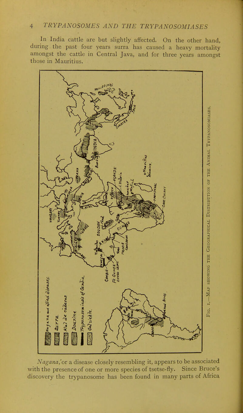 In India cattle are but slightly affected. On the other hand, during the past four years surra has caused a heavy mortality amongst the cattle in Central Java, and for three years amongst those in Mauritius. Nagana,'or a disease closely resembling it, appears to be associated with the presence of one or more species of tsetse-fly. Since Bruce's discovery the trypanosonie has been found in many parts of Africa