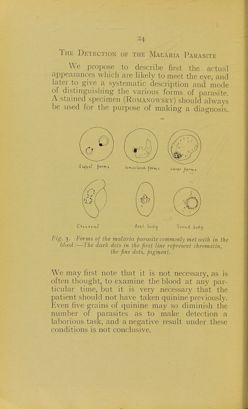 The Detection of the Malaria Parasite We propose to describe first the actual appearances which are likely to meet the eye, and later to give a systematic description and mode of distinguishing the various forms of parasite. A stained specimen (Romanowsky) should always be used for the purpose of making a diagnosis. F*g- 3- Forms of the malaria parasite commonly met with in the blood:—The dark dots in the first line represent chromatin, the fine dots, pigment. We may first note that it is not necessary, as is often thought, to examine the blood at any par- ticular time, but it is very necessary that the patient should not have taken quinine previously. Even five grains of quinine may so diminish the number of parasites as to make detection a laborious task, and a negative result under these conditions is not conclusive.