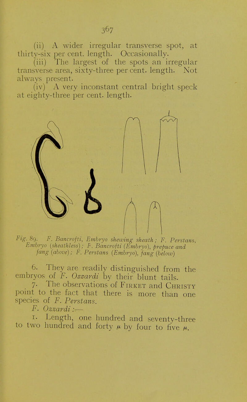 3^7 (ii) A wider irregular transverse spot, at thirty-six per cent, length. Occasionally. (iii) The largest of the spots an irregular transverse area, sixty-three percent, length. Not always present. (iv) A very inconstant central bright speck at eighty-three per cent, length. Fig. 89. F. Bancrofti, Embryo shewing sheath; F. Perstans, Embryo [sheath-less); F. Bancroft! (Embryo), prepuce and fang (above); F. Perstans (Embryo), fang (beloiv) 6. They are readily distinguished from the embryos of F. Ozzavdi by their blunt tails. 7. The observations of Firket and Christy point to the fact that there is more than one species of F. Perstans. F. Ozzavdi:-.— 1. Length, one hundred and seventy-three to two hundred and forty m by four to five v.