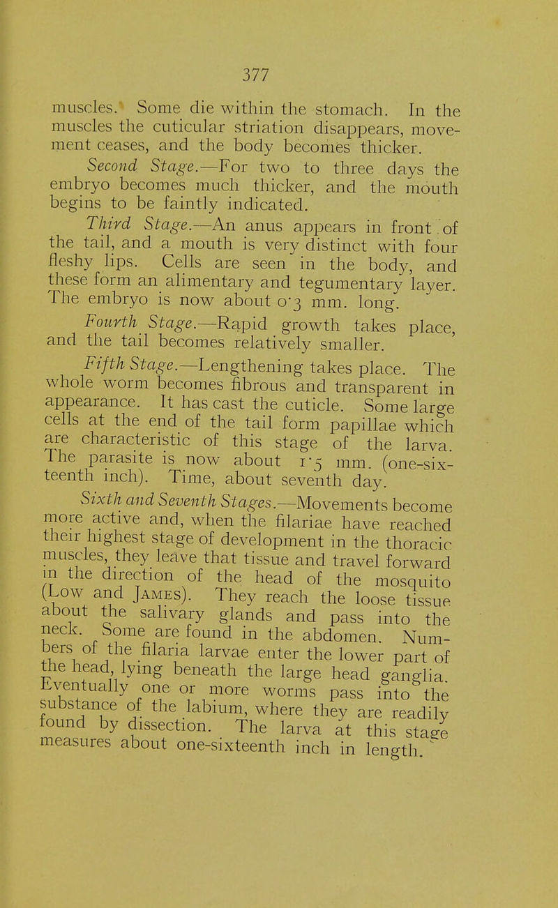 muscles/ Some die within the stomach. In the muscles the cuticular striation disappears, move- ment ceases, and the body becomes thicker. Second Stage.— For two to three days the embryo becomes much thicker, and the mouth begins to be faintly indicated. Third Stage.—An anus appears in front of the tail, and a mouth is very distinct with four fleshy lips. Cells are seen in the body, and these form an alimentary and tegumentary layer. The embryo is now about 0*3 mm. long. Fourth Stage.—Rapid growth takes place, and the tail becomes relatively smaller. Fifth Stage.— Lengthening takes place. The whole worm becomes fibrous and transparent in appearance. It has cast the cuticle. Some large cells at the end of the tail form papillae which are characteristic of this stage of the larva. The parasite is now about 1*5 mm (one-six- teenth inch). Time, about seventh day. Sixth and Seventh Stages.—Movements become more active and, when the filariae have reached their highest stage of development in the thoracic muscles, they leave that tissue and travel forward in the direction of the head of the mosquito (Low and James). They reach the loose tissue about the salivary glands and pass into the neck. Some are found in the abdomen. Num- bers of the filana larvae enter the lower part of the head lying beneath the large head ganglia Eventually one or more worms pass into the substance of the labium, where they are readily found by dissection. The larva at this staee measures about one-sixteenth inch in length ^