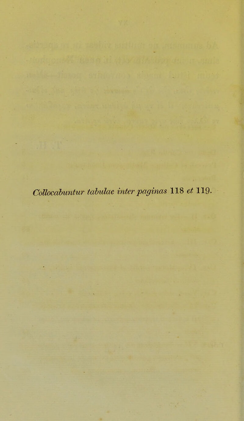 Collocabuntur tabulae inter paginas 118 et 119.