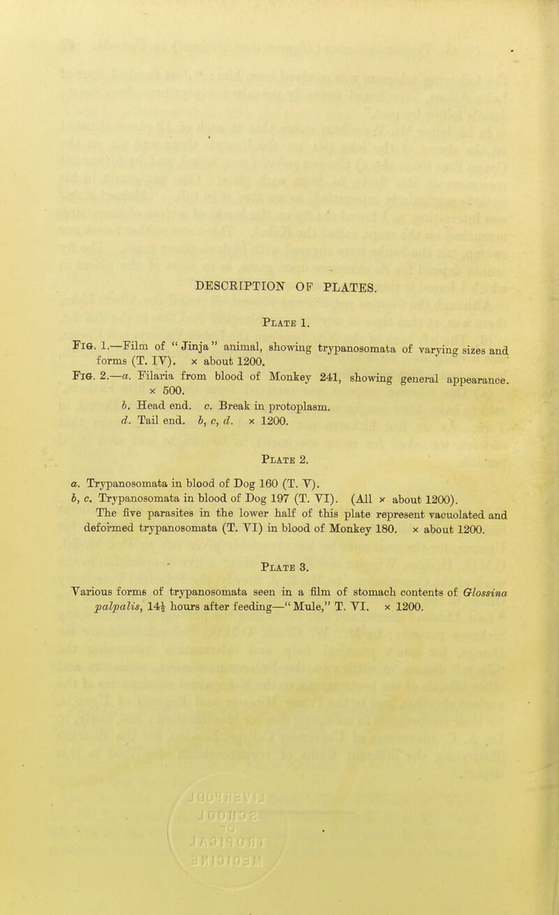 DESCErPTION OF PLATES. Plate 1. Fia. 1.—Film of  Jinja  animal, showing trypanosomata of varying sizes and forms (T. IV). x about 1200. Fi&. 2.—a. Filaria from blood of Monkey 241, showing general appearance X 500. h. Head end. c. Break in protoplasm. d. Tail end. b, c, d. x 1200. Plate 2. a. Trypanosomata in blood of Dog 160 (T. V). h, c. Trypanosomata in blood of Dog 197 (T. VI). (All x about 1200). The five parasites in the lower half of this plate represent vacuolated and defoi-med trypanosomata (T. VI) in blood of Monkey 180. x about 1200. Plate 3. Various forms of trypanosomata seen in a film of stomach contents of Qlossina