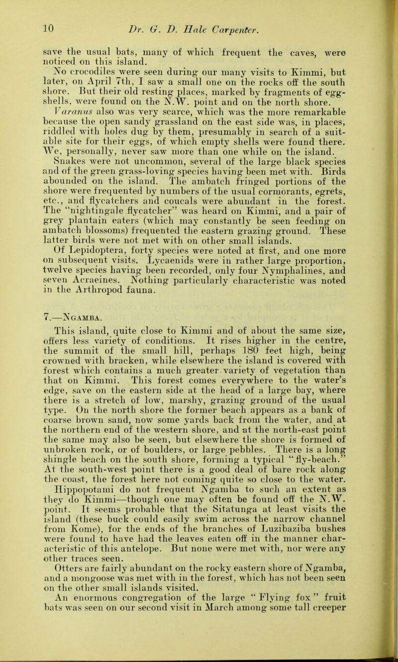save the usual bats, iiiauy of which frequent the caves, were noticed ou this island. No crocodiles were seen during our many visits to Kimmi, but later, on April 7th, I saw a small one on the rocks oif the south shore. But their old resting places, marked by fragments of egg- .shells, were found ou the jS'.W. point and on'^the north shore. Varanus also was very scarce, which was the more remarkable because the open sandy grassland on the east side was, in places, riddled with holes dug by them, presumably in search of a suit- able site for their eggs, of which empty shells were found there. We, personally, never saw more than one while on the island. Snakes were not uncommon, several of the large black species and of the green grass-loving species having been met with. Birds abounded on the island. The ambatcli fringed portions of the shore were frequented by numbers of the usual cormorants, egrets, etc., and fij'catchers and coucals were abundant in the forest. The nightingale flycatcher was heard ou Kimmi, and a pair of grey plantain eaters (which may constantly be seen feeding ou ambatch blossoms) frequented the eastern grazing ground. These latter birds were not met with on other small islands. Of Lepidoptera, forty species were noted at first, and one more on subsequent visits. Lycaenids were in rather large proportion, twelve species having been recorded, only four Xymphalines, and .seven Acraeines. Nothing particularly characteristic was noted in the Arthropod fauna. 7.—Xgamba. This island, quite close to Kimmi and of about the same size, offers less variety of conditions. It rises higher in the centre, the summit of the small hill, perhaps 180 feet high, being crowned with bracken, while elsewhere the island is covered with forest which contains a much greater variety of vegetation than that on Kimmi. This forest comes everywhere to the water's edge, save on the eastern side at the head of a large bay, where there is a stretch of low, marshy, grazing ground of the usual type. On the north shore the former beach appears as a bank of coarse brown sand, now some yards back from the water, and at the northern end of the western shore, and at the north-east point the same may also be seen, but elsewhere the shore is formed of unbroken rock, or of boulders, or large pebbles. There is a long shingle beach on the south shore, forming a typical fly-beach. At the south-west point there is a good deal of bare rock along the coast, the forest here not coming quite so close to the water. Hippopotami do not frequent jVgamba to such an extent as they do Kimmi—though one may often be found off the N.W. point. It seems probable that the Sitatunga at least visits the island (these buck could easily swim across the narrow channel from Kome), for the ends of the branches of Luzibaziba bushes were found to have had the leaves eaten oft' in the manner char- acteristic of this antelope. But none were met with, nor were any other traces seen. Otters are fairly abundant on the rocky eastern shore of Ngamba, and a mongoose was met with in the forest, which has not been seen on the other small islands visited. An enormous congregation of the large  Flying fox  fruit bats was seen on our second visit in March among some tall creeper