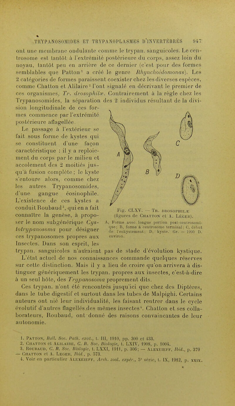 ont une membrane ondula'nte comme le trypan. sànguicoles. Le cen- trosome es! tantôt à l'extrémité postérieure du corps, assez loin du noyau, tantôt peu en arrière de ce dernier (c'est pour des formes semblables que Patlon1 a créé le genre Rlujnchoidomonas). Les 2 catégories de formes paraissent coexister chez les diverses espèces, comme Chatton et Alilaire2 l'ont signalé en décrivant le premier de ces organismes, Tr. drosophilœ. Contrairement à la règle chez les Trypanosomides, la séparation des 2 individus résultant delà divi- sion longitudinale de ces for- mes commence par l'extrémité postérieure aflagellée. Le passage à l'extérieur se fait sous forme de kystes qui se constituent d'une façon caractéristique : il y a reploie- ment du corps par le milieu et accolement des 2 moitiés jus- qu'à fusion complète ; le kyste s'entoure alors, comme chez les autres Trypanosomides. d'une gangue éosinophile. L'existence de ces kystes a conduit Roubaud3, qui en a fait connaître la genèse, à propo- ser le nom subgénérique Cys- lotrypanosoma pour désigner ces Irypanosomes propres aux Insectes. Dans son esprit, les trypan. sànguicoles n'auraient pas de stade d'évolution kystique. L'état actuel de nos connaissances commande quelques réserves sur cette distinction. Mais il y a lieu de croire qu'on arrivera à dis- tinguer génériquement les trypan. propres aux insectes, c'est-à-dire à un seul hôte, des Trypanosoma proprement dits. Ces trypan. n'ont été rencontrés jusqu'ici que chez des Diptères, dans le tube digestif et surtout dans les tubes de Malpighi. Certains auteurs ont nié leur individualité, les faisant rentrer clans le cycle évolutif d'autres flagellés .des mômes insectes1. Chatton et ses colla- borateurs, Roubaud, ont donné des raisons convaincantes de leur autonomie. Pig. CLXV. — Tr. drosophilœ (figures de Chatton el A. Léger). A, Forme avoc longue portion post-controsoml- que; B, forme à centrosome terminal: C, début de l'enkystement ; D, kyste. Gr. = 1900 D. environ. 1. I'ai roN, Bail. Soc Palh. exot., t. III, l'.HO, pp. 300 ci i33, 2. Chatton et Alilaire, C. R. Soc. Biologie, t. LXIV, 1908, p. 1004. 3. Roubaud, C. R. Soc. Biologie, t. LXXI, 1011, p. 300; — Ai.exf.ieff, Ibid., p. 379 — Chatton et A. Léger, Ibid., p. 573. 4. Voir en particulier Alexeieff, Arch. zool. expér., 5 série, t. IX, 1912, p. xxix. *