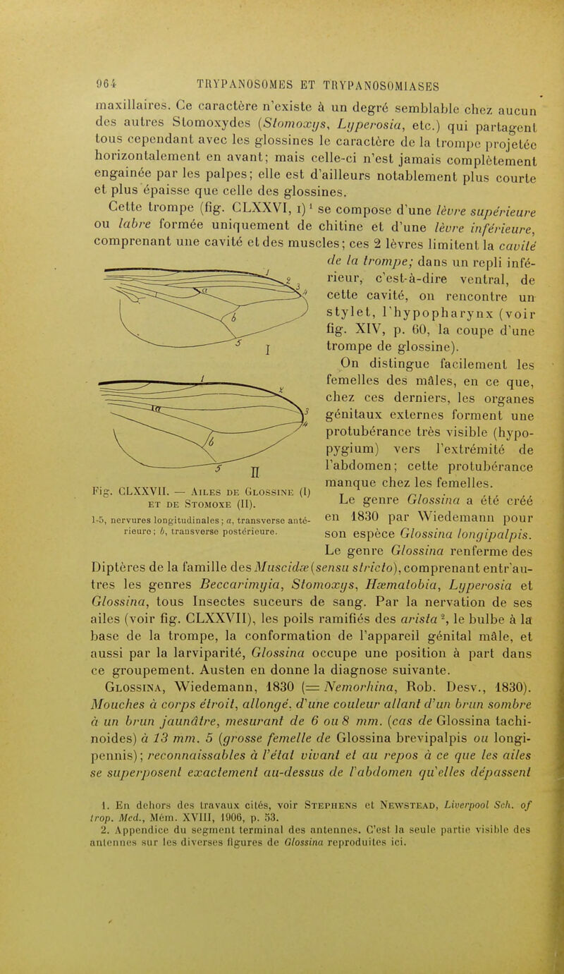maxillaires. Ce caractère n'existe à un degré semblable cliez aucun des autres Slomoxydes (Stomoxys, Lyperosia, etc.) qui partagent tous cependant avec les glossines le caractère de la trompe projetée horizontalement en avant; mais celle-ci n'est jamais complètement engainée par les palpes; elle est d'ailleurs notablement plus courte et plus épaisse que celle des glossines. Cette trompe (fig. CLXXVI, i)1 se compose d'une lèvre supérieure ou labre formée uniquement de chitine et d'une lèvre inférieure, comprenant une cavité et des muscles; ces 2 lèvres limitent la cavité de la trompe; dans un repli infé- rieur, c'est-à-dire ventral, de celte cavité, on rencontre un stylet, l'hypopharynx (voir fig. XIV, p. 60, la coupe d'une trompe de glossine). On distingue facilement les femelles des mâles, en ce que, chez ces derniers, les organes génitaux externes forment une protubérance très visible (hypo- pygium) vers l'extrémité de l'abdomen; cette protubérance manque chez les femelles. Le genre Glossina a été créé en 1830 par Wiedemann pour son espèce Glossina longipalpis. Le genre Glossina renferme des Diptères de la famille des Muscidse(sensu stricto), comprenant entr'au- tres les genres Beccarimyia, Stomoxys, Hœmatobia, Lyperosia et Glossina, tous Insectes suceurs de sang. Par la nervation de ses ailes (voir fig. CLXXVII), les poils ramifiés des arista -, le bulbe à la base de la trompe, la conformation de l'appareil génital mâle, et aussi par la larviparité, Glossina occupe une position à part dans ce groupement. Austen en donne la diagnose suivante. Glossina, Wiedemann, 1830 (== Nemorhina, Rob. Desv., 1830). Mouches à corps étroit, allongé, d'une couleur allant d'un brun sombre à un brun jaunâtre, mesurant de 6 ou 8 mm. (cas de Glossina tachi- noides) à 13 mm. 5 (grosse femelle de Glossina brevipalpis ou longi- pennis); reconnaissables à l'étal vivant et au repos à ce que les ailes se superposent exactement au-dessus de l'abdomen qu elles dépassent 1. En dehors des travaux cités, voir Stephens et Newstead, Liverpool Sch. of trop. Mcd., Mém. XVIII, 1006, p. 53. 2. Appendice du segment terminal des antennes. C'est la seule partie visible des antennes sur les diverses figures de Glossina reproduites ici. Fig. CLXXVII. — Ailes de Glossine (I) et de Stomoxe (II). 1-5, nervures longitudinales; a, transverse ante- rieuro; 4, trausverse postérieure.