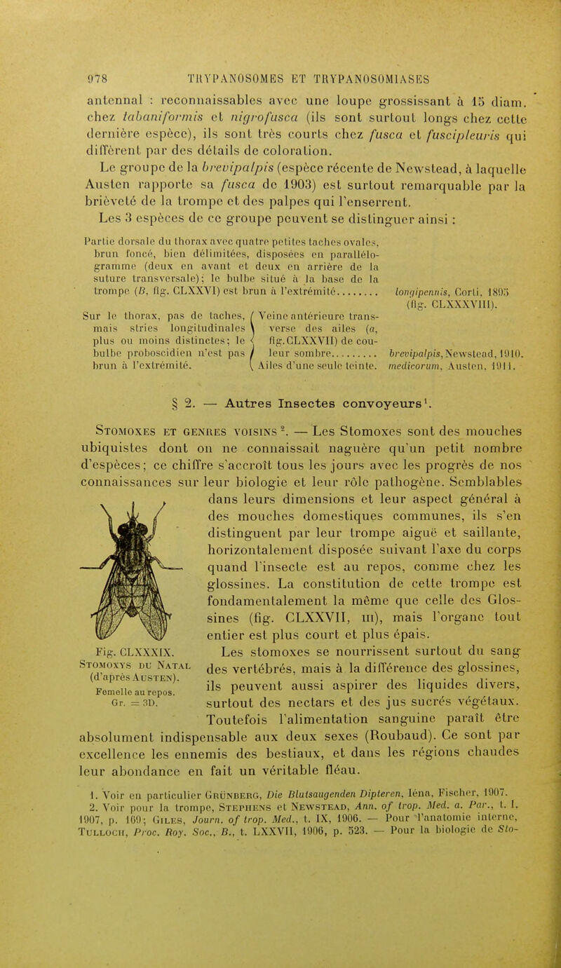 antcnnal : reconnaissables avec une loupe grossissant a 15 diam. chez tabaniformis et nigrofusca (ils sont surtout longs chez cette dernière espèce), ils sont très courts chez fusca et fuscipleuris qui diffèrent par des détails de coloration. Le groupe de la brevipalpis (espèce récente de Newstead, à laquelle Austen rapporte sa fusca de 1903) est surtout remarquable par la brièveté de la trompe et des palpes qui l'enserrent. Les 3 espèces de ce groupe peuvent se distinguer ainsi : Partie dorsale du thorax avec quatre petites taches ovales, brun foncé, bien délimitées, disposées en parallélo- gramme (deux en avant el deux en arrière de la suture transversale); le bulbe situé à la base de la trompe. (B, Qg. CLXXVI) est brun à l'extrémité lonqipennis, Corli, 1895 (ilg. CLXXXVIII). Sur le thorax, pas de taches, ( Veine antérieure trans- mais stries longitudinales \ verse des ailes (a, plus ou moins distinctes; le < flg.CLXXVII) de cou- bulbe proboscidien n'esl pas/ leur sombre brevipalpis, Newstead, 1910. brun à l'extrémité. \ Ailes d'Une seule teinte, medicorum. Austen, 1911. § 2. Autres Insectes convoyeurs1. Stomoxes et genres voisins2. —Les Stomoxes sont des mouches ubiquistes dont on ne connaissait naguère qu'un petit nombre d'espèces; ce chiffre s'accroît tous les jours avec les progrès de nos connaissances sur leur biologie et leur rôle pathogène. Semblables dans leurs dimensions et leur aspect général à des mouches domestiques communes, ils s'en distinguent par leur trompe aigué et saillante, horizontalement disposée suivant l'axe du corps quand l'insecte est au repos, comme chez les glossines. La constitution de cette trompe est fondamentalement la môme que celle des Glos- sines (fig. CLXXVII, m), mais l'organe tout entier est plus court et plus épais. Les stomoxes se nourrissent surtout du sang des vertébrés, mais à la différence des glossines, ils peuvent aussi aspirer des liquides divers, surtout des nectars et des jus sucrés végétaux. Toutefois l'alimentation sanguine paraît être absolument indispensable aux deux sexes (Roubaud). Ce sont par excellence les ennemis des bestiaux, et dans les régions chaudes leur abondance en fait un véritable fléau. 1. Voir en particulier GrÛNBERG, Die Mulsaugenden Dipteren, lena. Fischer, 1907. 2. Voir pour la trompe, Stephens et Newstead, Ann. of trop. Med. a. Par., t. 1. 1907, p. 10»; GlLES, Journ. of trop. Med., t. IX, 1900. — Pour Tanalomie interne, Tullocii, Proc. Roy. Soc.. B., t. LXXV11, 1906, p. 523. — Pour la biologie de Sto- Fig. CLXXXIX. Stomoxys du Natal (d'après Austen). Fomollc au repos. Gr. = 3D.