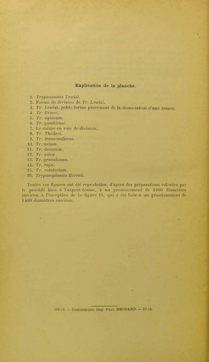 1. Trypanosoina Lewisi. 2. Forme de division de Tr. Lewisi. 3. Tr. Leivisi, petite Forme provenant de la dissociation d'une rosace. 4. Tr. Brucei. 5. Tr. equinum. 6. Tr. gambiense. 7. Le même en voie de division. 8. Tr. Theileri. 9. Tr. transvaaliense. 10. Tr. avium. 11. Tr. damoniœ. 12. Tr. sole se. 13. Tr. granulosum. 14. Tr. rajœ. 15. Tr. rolatorium. 16. Trypanoplasma Borreli. Toutes ces figures onl, été reproduites, d'après des préparations colorées par le procédé bleu à l'argent-éosine, à un grossissement de 2000 diamètres environ, à l'exception de la figure 15, qui a été faite à un grossissement de 1400 diamètres environ. 109-1-2. - Coulommiors. Imp. Paul BRODARD. — 10-12.