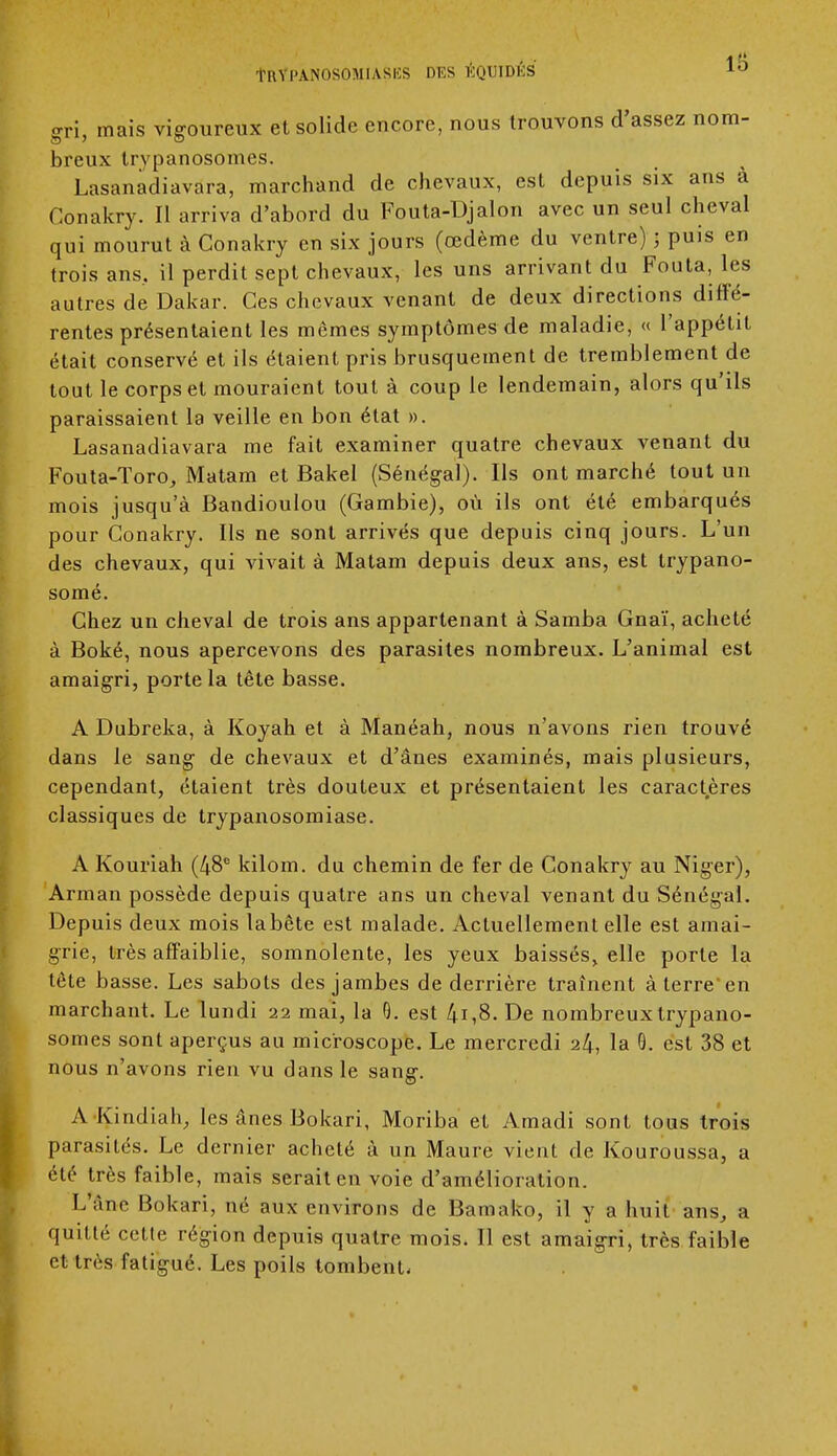 1;; gri, mais vigoureux et solide encore, nous trouvons d'assez nom- breux trypanosomes. Lasanadiavara, marchand de chevaux, est depuis six ans à Conakry. II arriva d'abord du Fouta-Djalon avec un seul cheval qui mourut à Conakry en six jours (œdème du ventre) ; puis en trois ans, il perdit sept chevaux, les uns arrivant du Foula, les autres de Dakar. Ces chevaux venant de deux directions diffé- rentes présentaient les mômes symptômes de maladie, « l'appétit était conservé et ils étaient pris brusquement de tremblement de tout le corps et mouraient tout à coup le lendemain, alors qu'ils paraissaient la veille en bon état ». Lasanadiavara me fait examiner quatre chevaux venant du Fouta-Toro, Matam et Bakel (Sénégal). Ils ont marché tout un mois jusqu'à Bandioulou (Gambie), où ils ont été embarqués pour Conakry. Ils ne sont arrivés que depuis cinq jours. L'un des chevaux, qui vivait à Matam depuis deux ans, est trypano- somé. Chez un cheval de trois ans appartenant à Samba Gnaï, acheté à Boké, nous apercevons des parasites nombreux. L'animal est amaigri, porte la tête basse. A Dubreka, à Koyah et à Manéah, nous n'avons rien trouvé dans le sang de chevaux et d'ânes examinés, mais plusieurs, cependant, étaient très douteux et présentaient les caractères classiques de trypanosomiase. A Kouriah (48e kilom. du chemin de fer de Conakry au Niger), Annan possède depuis quatre ans un cheval venant du Sénégal. Depuis deux mois labête est malade. Actuellement elle est amai- grie, très affaiblie, somnolente, les yeux baissés, elle porte la tète basse. Les sabots des jambes de derrière traînent à terre'en marchant. Le lundi 22 mai, la 9. est 4i,8. De nombreux trypano- somes sont aperçus au microscope. Le mercredi 24, la 0. est 38 et nous n'avons rien vu dans le sang. A Kindiah, les ânes Bokari, Moriba et Amadi sont tous trois parasités. Le dernier acheté à un Maure vient de Kouroussa, a été très faible, mais serait en voie d'amélioration. L'âne Bokari, né aux environs de Bamako, il y a huit ans, a quitté cette région depuis quatre mois. 11 est amaigri, très faible et très fatigué. Les poils tombent-