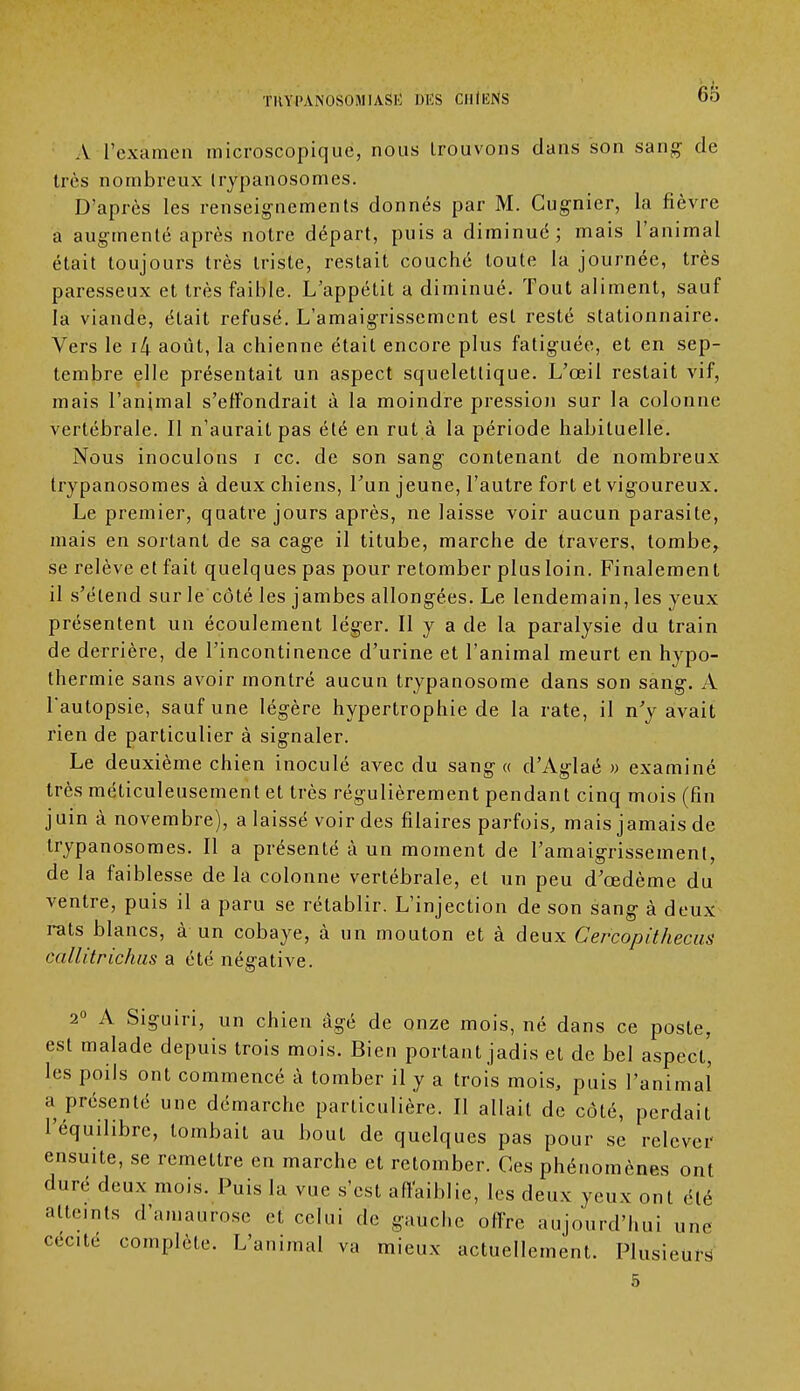 Go A l'examen microscopique, nous trouvons dans son sang de très nombreux trypanosomes. D'après les renseignements donnés par M. Cugnier, La fièvre a augmenté après notre départ, puis a diminué; mais l'animal était toujours très triste, restait couché toute la journée, très paresseux et très faible. L'appétit a diminué. Tout aliment, sauf la viande, était refusé. L'amaigrissement est resté stationnaire. Vers le i4 août, la chienne était encore plus fatiguée, et en sep- tembre elle présentait un aspect squelettique. L'œil restait vif, mais l'animal s'effondrait à la moindre pression sur la colonne vertébrale. Il n'aurait pas été en rut à la période habituelle. Nous inoculons i ce. de son sang contenant de nombreux trypanosomes à deux chiens, l'un jeune, l'autre fort et vigoureux. Le premier, quatre jours après, ne laisse voir aucun parasite, mais en sortant de sa cage il titube, marche de travers, tombe, se relève et fait quelques pas pour retomber plus loin. Finalement il s'étend sur le côté les jambes allongées. Le lendemain, les yeux présentent un écoulement léger. Il y a de la paralysie du train de derrière, de l'incontinence d'urine et l'animal meurt en hypo- thermie sans avoir montré aucun trypanosome dans son sang. A l'autopsie, sauf une légère hypertrophie de la rate, il n'y avait rien de particulier à signaler. Le deuxième chien inoculé avec du sang « d'Aglaé » examiné très méticuleusement et très régulièrement pendant cinq mois (fin j uin à novembre), a laissé voir des filaires parfois, mais jamais de trypanosomes. Il a présenté à un moment de l'amaigrissement, de la faiblesse de la colonne vertébrale, et un peu d'oedème du ventre, puis il a paru se rétablir. L'injection de son sang à deux rats blancs, à un cobaye, à un mouton et à deux Cercopithecus callitrichus a été négative. 2° A Siguiri, un chien âgé de onze mois, né dans ce poste, est malade depuis trois mois. Bien portant jadis et de bel aspect' les poils ont commencé à tomber il y a trois mois, puis l'animal a présenté une démarche particulière. Il allait de côté, perdait l'équilibre, tombait au bout de quelques pas pour se relever ensuite, se remettre en marche et retomber. Ces phénomènes ont duré deux mois. Puis la vue s'est affaiblie, les deux yeux ont été atteints d'amaurose et celui de gauche offre aujourd'hui une cec.té complète. L'animal va mieux actuellement. Plusieurs