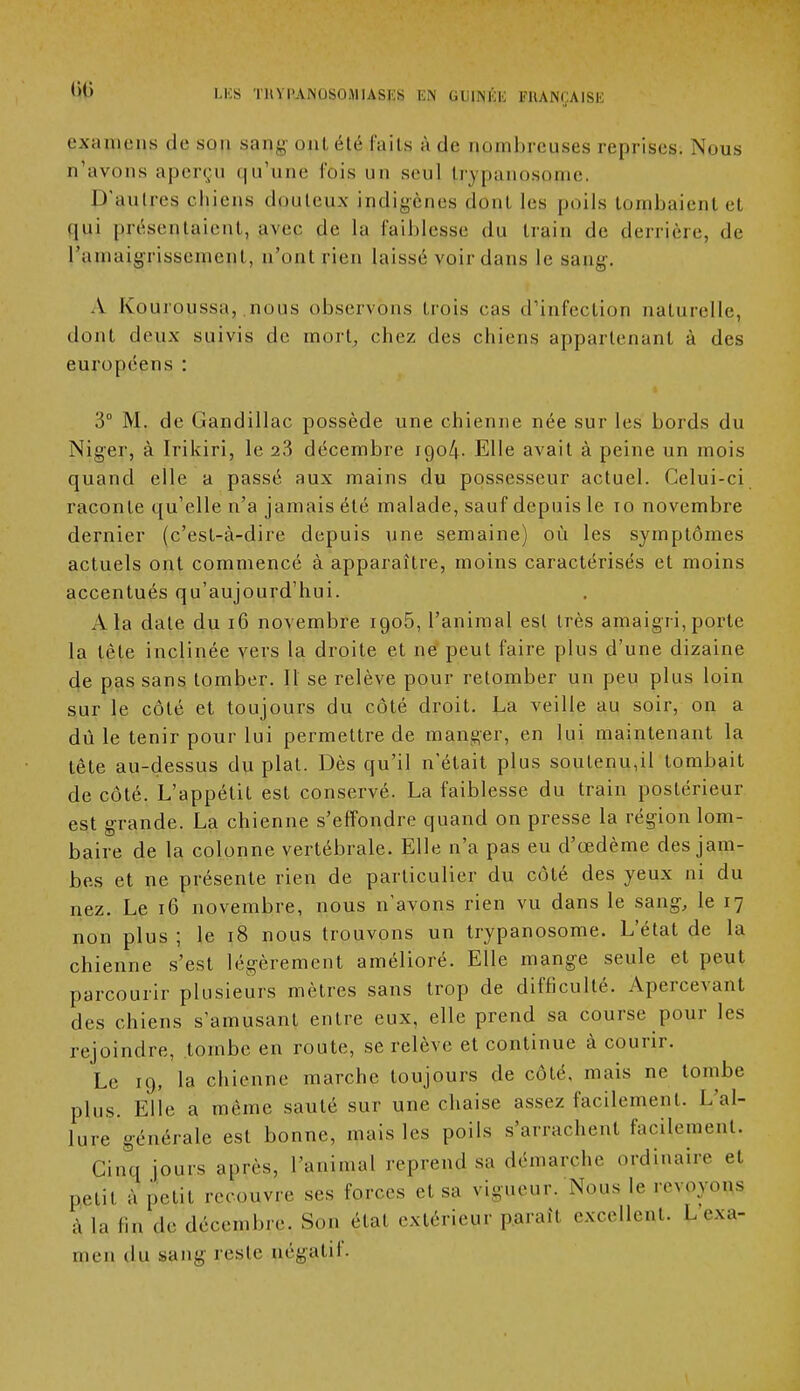 examens (Je son san- oui été faits à de nombreuses reprises. Nous n'avons aperçu qu'une l'ois un seul trypanosanie, D'antres chiens dpuleux indigènes dont les poils touillaient et qui présentaient, avec, de la faiblesse dn train de derrière, de l'amaigrissement, n'ont rien laissé voir dans le sang. A Kouronssa, nous observons trois cas d'infection naturelle, dont deux suivis de mort, chez des chiens appartenant à des européens : 3° M. de Gandillac possède une chienne née sur les bords du Niger, à Irikiri, le 23 décembre 1904. Elle avait à peine un mois quand elle a passé aux mains du possesseur actuel. Celui-ci raconte qu'elle n'a jamais été malade, sauf depuis le 10 novembre dernier (c'est-à-dire depuis une semaine) où les symptômes actuels ont commencé à apparaître, moins caractérisés et moins accentués qu'aujourd'hui. A la date du 16 novembre iqo5, l'animal est très amaigri,porte la tète inclinée vers la droite et ne peut faire plus d'une dizaine 4e pas sans tomber. 11 se relève pour retomber un peu plus loin sur le côté et toujours du côté droit. La veille au soir, on a dû le tenir pour lui permettre de manger, en lui maintenant la tète au-dessus du plat. Dès qu'il n'était plus soutenu,il tombait de côté. L'appétit est conservé. La faiblesse du train postérieur est grande. La chienne s'effondre quand on presse la région lom- baire de la colonne vertébrale. Elle n'a pas eu d'œdème des jam- bes et ne présente rien de particulier du côté des yeux ni du nez. Le 16 novembre, nous n'avons rien vu dans le sang, le 17 non plus ; le 18 nous trouvons un trypanosome. L'état de la chienne s'est légèrement amélioré. Elle mange seule et peut parcourir plusieurs mètres sans trop de difficulté. Apercevant des chiens s'amusant entre eux, elle prend sa course pour les rejoindre, tombe en route, se relève et continue à courir. Le 19, la chienne marche toujours de côté, mais ne tombe plus. Elle a même sauté sur une chaise assez facilement. L'al- lure générale est bonne, mais les poils s'arrachent facilement. Cinq jours après, l'animal reprend sa démarche ordinaire et ,„.,,, à recouvre ses forces et sa vigueur. Nous le revpyon,s à la lin de décembre. Son état extérieur parail excellent. L exa- men du sang reste uégatil.