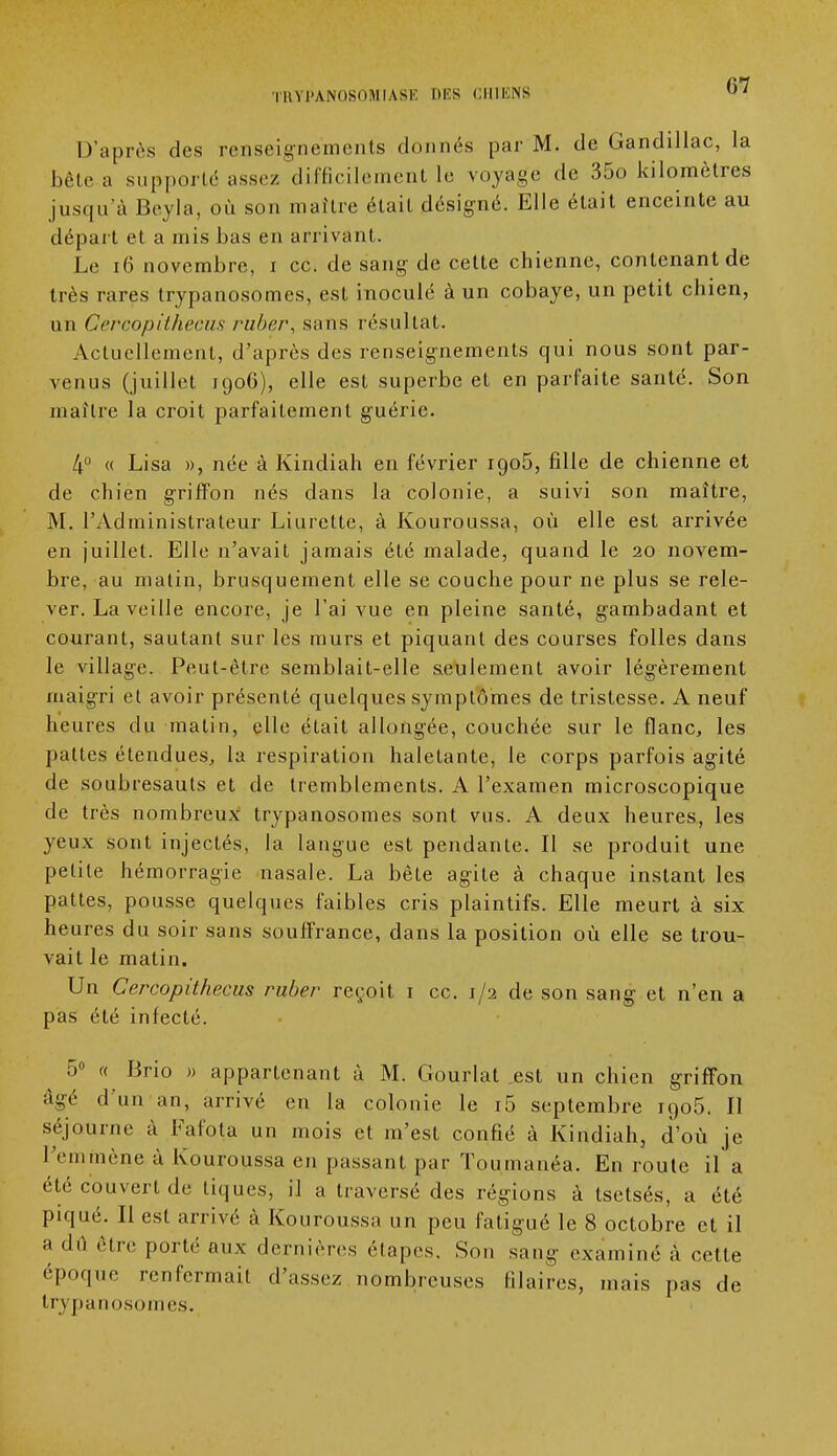 D'après des renseignements donnés par M. de Gandillac, la bêle a supporté assez difficilement le voyage de 35o kilomètres jusqu'à Beyla, où son maître était désigné. Elle était enceinte au départ et a mis bas en arrivant. Le 16 novembre, i ce. de sang de cette chienne, contenant de très rares trypanosomes, est inoculé à un cobaye, un petit chien, un Cercopithecus ruber, sans résultat. Actuellement, d'après des renseignements qui nous sont par- venus (juillet 1906), elle est superbe et en parfaite santé. Son maître la croit parfaitement guérie. 4° « Lisa », née à Kindiah en février igo5, fille de chienne et de chien griffon nés dans la colonie, a suivi son maître, M. l'Administrateur Liurette, à Kouroussa, où elle est arrivée en juillet. Elle n'avait jamais été malade, quand le 20 novem- bre, au matin, brusquement elle se couche pour ne plus se rele- ver. La veille encore, je l'ai vue en pleine santé, gambadant et courant, sautant sur les murs et piquant des courses folles dans le village. Peut-être semblait-elle seulement avoir légèrement maigri et avoir présenté quelques symptômes de tristesse. A neuf heures du matin, elle était allongée, couchée sur le flanc, les pattes étendues, la respiration haletante, le corps parfois agité de soubresauts et de tremblements. A l'examen microscopique de très nombreux trypanosomes sont vus. A deux heures, les yeux sont injectés, la langue est pendante. Il se produit une petite hémorragie nasale. La bête agite à chaque instant les pattes, pousse quelques faibles cris plaintifs. Elle meurt à six heures du soir sans souffrance, dans la position où elle se trou- vait le matin. Un Cercopithecus ruber reçoit 1 ce. 1/2 de son sang et n'en a pas été infecté. 5° « Brio » appartenant à M. Gourlat est un chien griffon âgé d'un an, arrivé en la colonie le i5 septembre 1906. Il séjourne à Fafota un mois et m'est confié à Kindiah, d'où je l'emmène à Kouroussa en passant par Toumanéa. En route il a été couvert de tiques, il a traversé des régions à tsetsés, a été piqué. Il est arrivé à Kouroussa un peu fatigué le 8 octobre et il a dû être porté aux dernières étapes. Sou sang examiné à cette époque renfermait d'assez nombreuses Maires, mais pas de trypanosomes.
