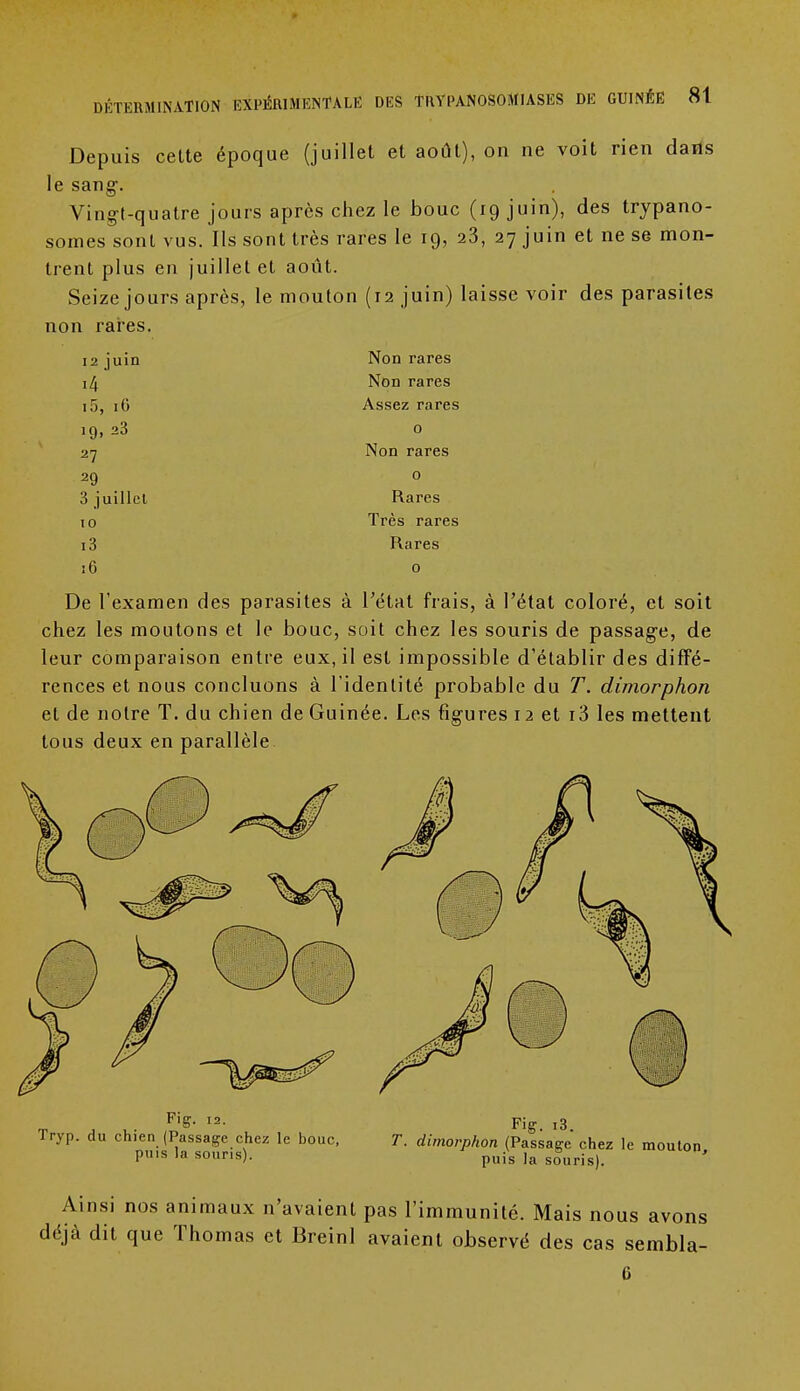 Depuis cette époque (juillet et août), on ne voit rien dans le sang-. Vingt-quatre jours après chez le bouc (19 juin), des trypano- somes sont vus. Ils sont très rares le 19, 23, 27 juin et ne se mon- trent plus en juillet et août. Seize jours après, le mouton (12 juin) laisse voir des parasites non rares. 12 juin Non rares '4' Non rares i5, 16 Assez rares 19, 23 0 27 Non rares 29 0 3 juillet Rares 10 Très rares i3 Rares ï6 0 De l'examen des parasites à l'étal frais, à l'état coloré, et soit chez les moutons et le bouc, soit chez les souris de passage, de leur comparaison entre eux, il est impossible d'établir des diffé- rences et nous concluons à l'identité probable du T. dimorphon et de notre T. du chien de Guinée. Les figures 12 et i3 les mettent tous deux en parallèle Ainsi nos animaux n'avaient pas l'immunité. Mais nous avons déjà dit que Thomas et Breinl avaient observé des cas sembla- 6