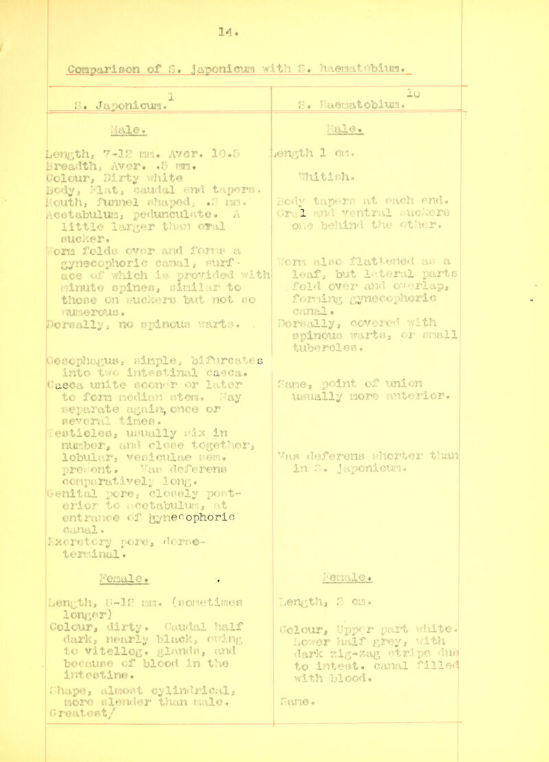 1-1. Comparison o ialo. :jenf;th; ^-i;^ 13W. Aver» 10. ;3readth, Avor. .5 nra. CJclour, Dirty './hite Body, hlixti caudal end taimri •iouth, funnel tihapod^ .r- im^ :\cotabuluin, pe<lunculr'.te. A little iar.':ier than ot:x1 oucker. .^ons folds^ ovor and t'ortw t% i^ynecophoric canal, mirf ace of which le provided /^i i minute «}pln©8, similar to thoee on HUC'kerB hut not bo ■riuriorous. Doi'eallv; no j:rpincu5^ vmrtB^ into two intestinal oaeca. Caectv imite £?oonf^r or later to fona tnediLiti r,ton» ray oexmrate iv^ain, once or f^everitl timoB. i eaticlee, u^'Utilly i-ix in nuiribor, and clof^e toget'-torj lobular, veT>lct?itte rem. prei out. '-tu' deferenp conparativeli lon^. Oenital ixjre^ cloi'ely poj'.t- erior to ; > cetabuliir-, tt entrance of ^ynef^ophoric co.nal. j;x<'rf)tcry pore, don^e- terr dnal. Feaalo. • th, V'-lf: liu* (oonetiiaeB .onj^fir) Colour, dirty. r;uudal half darki nearly black, <>rdn,':; to vitellOi> gl^mdn, rmd bocLumo of blood In the inteotine* rhapo, iiltsoi'st cylind.ricrtl, moro ^lender than Ji.ilo. Oroat< ' ,]a,ponicuTrj. -^Ith. f'. haenatf'5birw!i. I P. naenicitobi^JWi' ; .;j.X*3. jon^ith 1 en. 1L> Or-xX an<l ventral i^ucJcer© Oiii5 behind, the ot'ior. Vi'om ali^o riatteJied tu? a leaf; but l^^teral x^arts , fold over aJid o-*erlap, forj'iing 5ynecoi>horlc j)on?ally, covered with ^■pinouB wartH, or if?imil tuberclef^. 'atriG', point of union umially more anterior. i-vn deforene shorter tlian in jftponicujn* .,en£,th. Colour, Vi-p-por part wiiite. i.owor half K?'ey, 'vith tlark zi^-zae, «tripo due to inte«t. canal fllle<i with blood. Ham© •