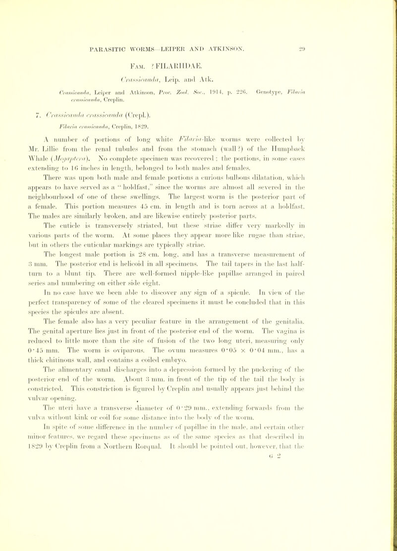 Fam. ?FILAEIIDA K. (''nissini in In, Leip. and Atk. Crassicauda, Leiper and Atkinson, Proc. Zool. Soc, 1914, p. 220. Genotype, Filaria crassicauda, Creplin. 7. Crassicauda crassicauda (Crepl.). Filaria crassicauda, Creplin, 1^29. A number of portions of long white Filaria-lilze worms wore collected by Mr. Lillie from the renal tubules and from the stomach (wall?) of the Humpback Whale (Megaptera). No complete specimen was recovered ; the portions, in some cases extending to 1.6 inches in length, belonged to both males and females. There was upon both male and female portions a curious bulbous dilatation, which appears to have served as a holdfast, since the worms are almost all severed in the neighbourhood of one of these swellings. The largest worm is the posterior part of a female. This portion measures 45 cm. in length and is torn across at a, holdfast. The males are similarly broken, and are likewise entirely posterior parts. The cuticle is transversely striated, but these striae differ very markedly in various parts of the worm. At some places they appear more like rugae than striae, but in others the cuticular markings are typically striae. The longest male portion is 28 cm. long, and has a transverse measurement of 3 mm. The posterior end is helicoid in all specimens. The tail tapers in the last half- turn to a blunt tip. There are well-formed nipple-like papillae arranged in paired series and numbering on either side eight. In no case have we been able to discover any sign of a spicule. In view of the perfect transparency of some of the cleared specimens it must be concluded that in this species the spicules are absent. The female also has a very peculiar feature in the arrangement of the genitalia. The genital aperture lies just in front of the posterior end of the worm. The vagina is reduced to little more than the site of fusion of the two long uteri, measuring only 0-45 mm. The worm is oviparous. The ovum measures O'Oo x 0*04 mm., has a thick chitinous wall, and contains a coiled embryo. The alimentary canal discharges into a, depression formed by the puckering of the posterior end of the worm. About •'! mm. in Iron I of the tip of the tail the body is constricted. This constriction is figured by Creplin and usually appears just behind the vulvar opening. The uteri have a transverse diameter of 0 - 21) mm., extending forwards from the vulva without kink or cod for some distance into the body of the worm. In spite ot some difference in the Dumber of papillae in the male, and certain other minor features, we regard these specimens as of the same species as that described in 1829 by Creplin from a Northern Rorqual. It should be pointed out, however, that the G 2